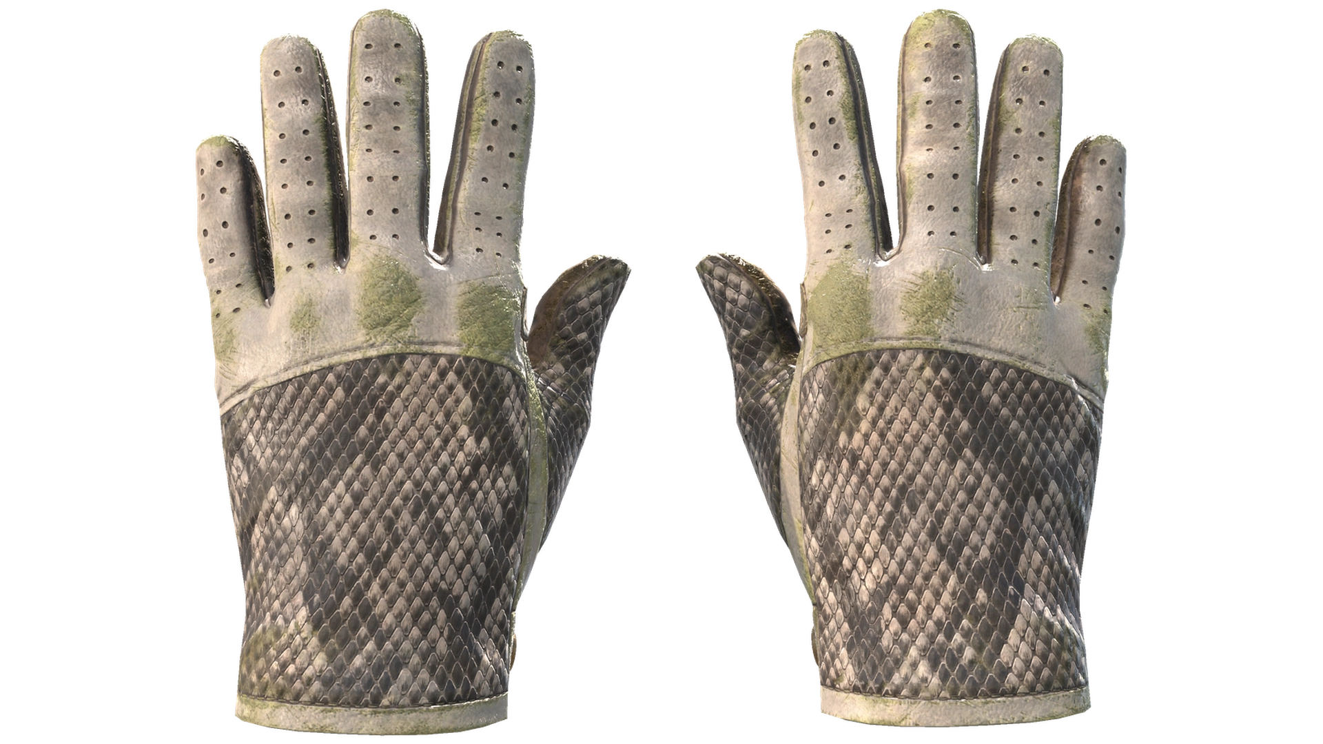 King Snake image