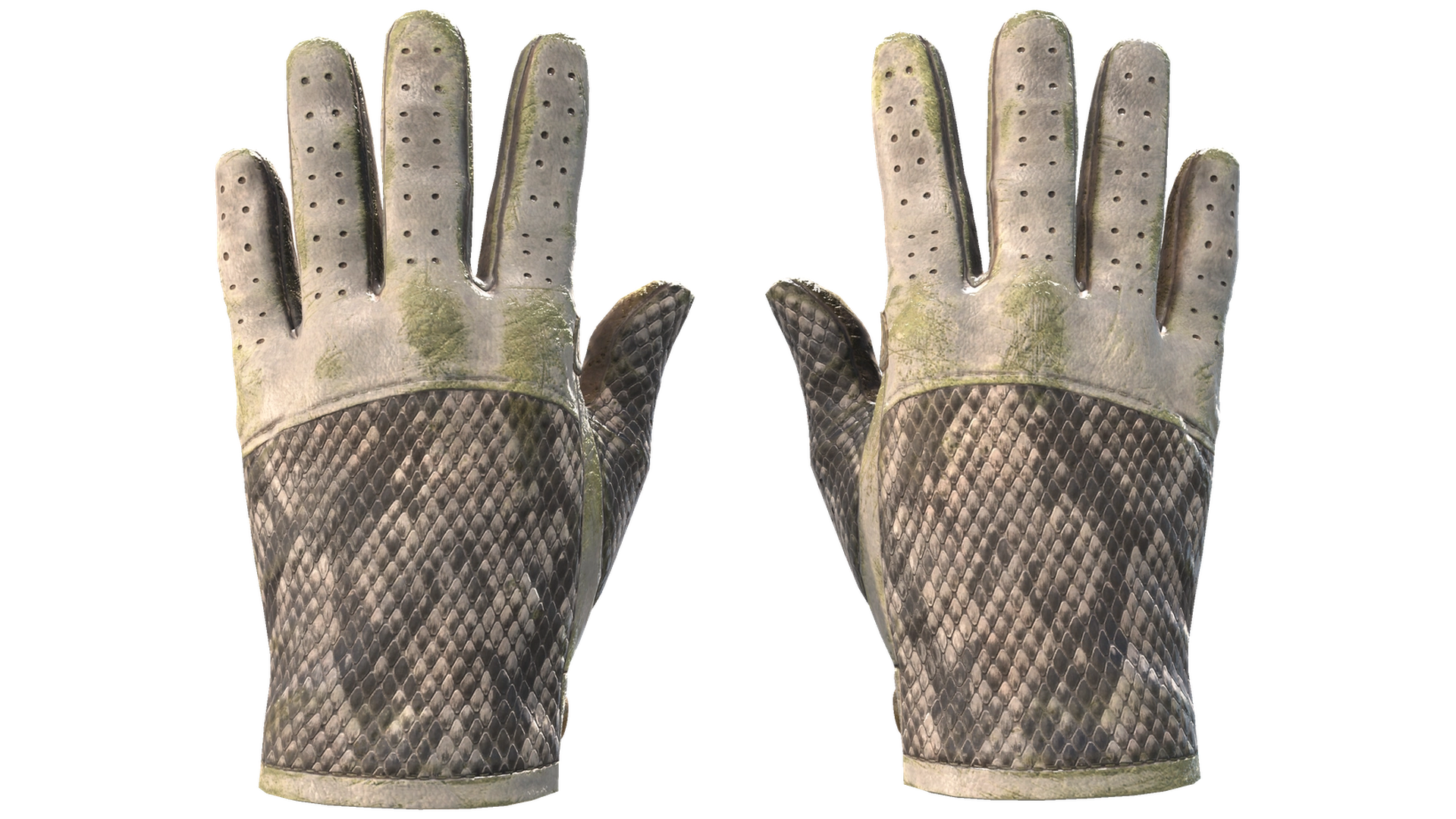 King Snake image