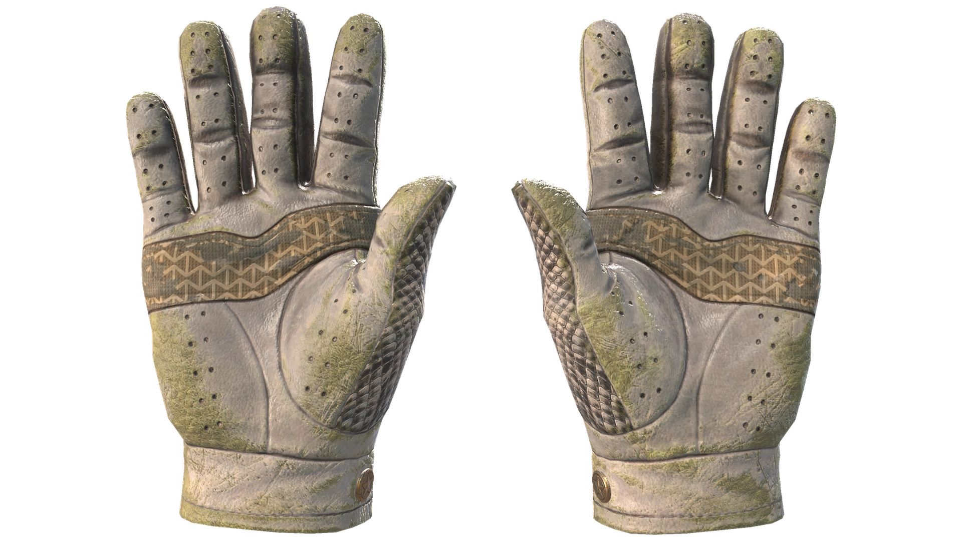 King Snake image