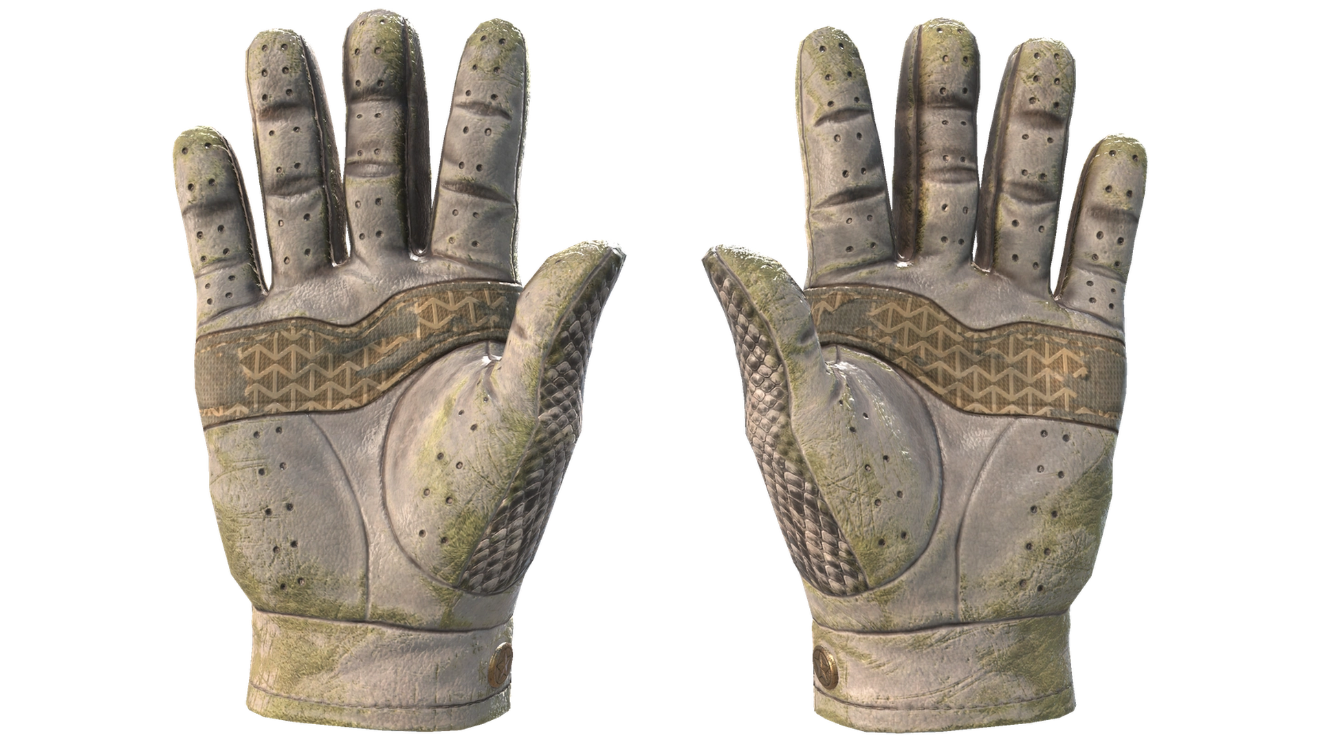 King Snake image
