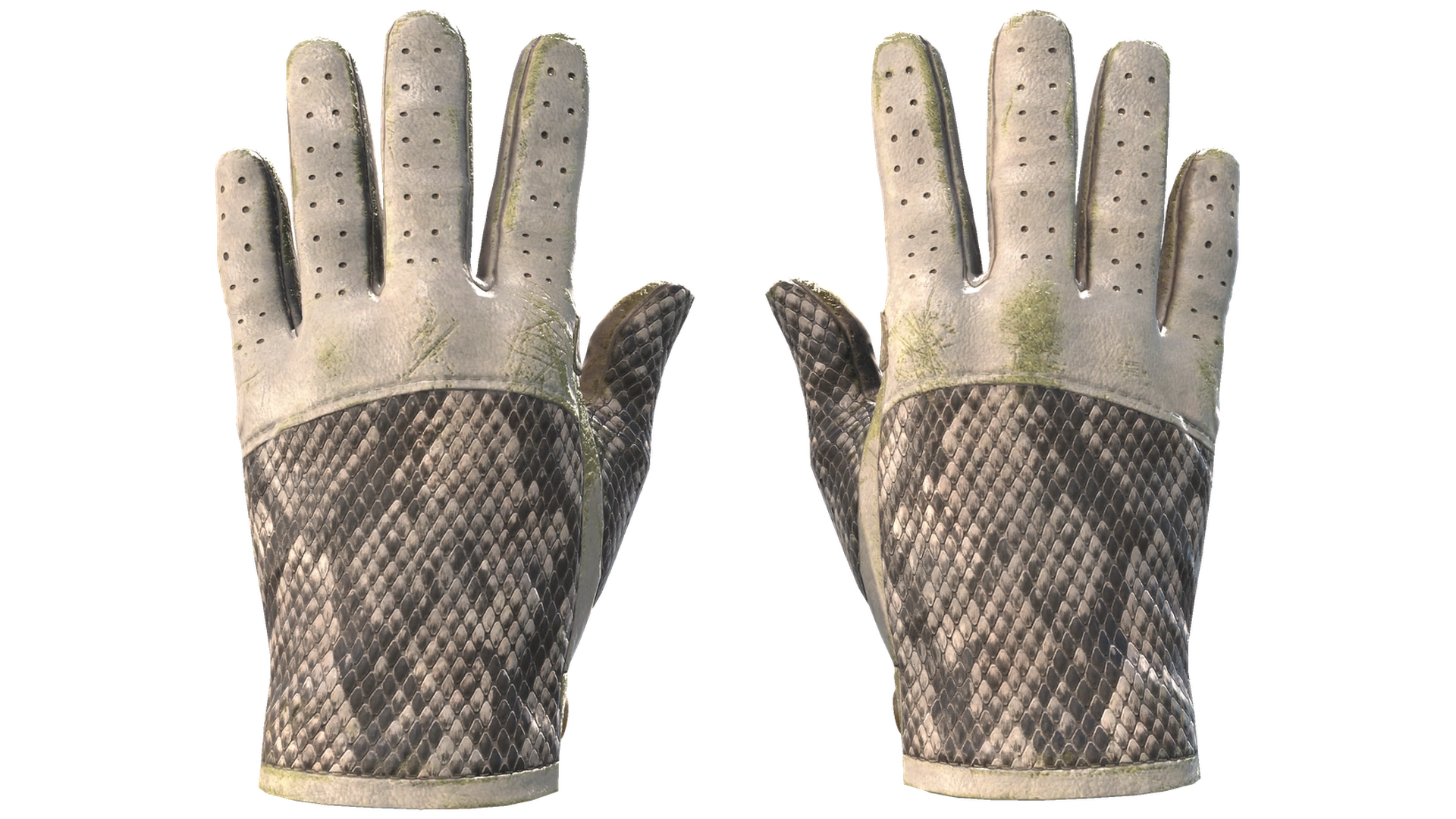King Snake image