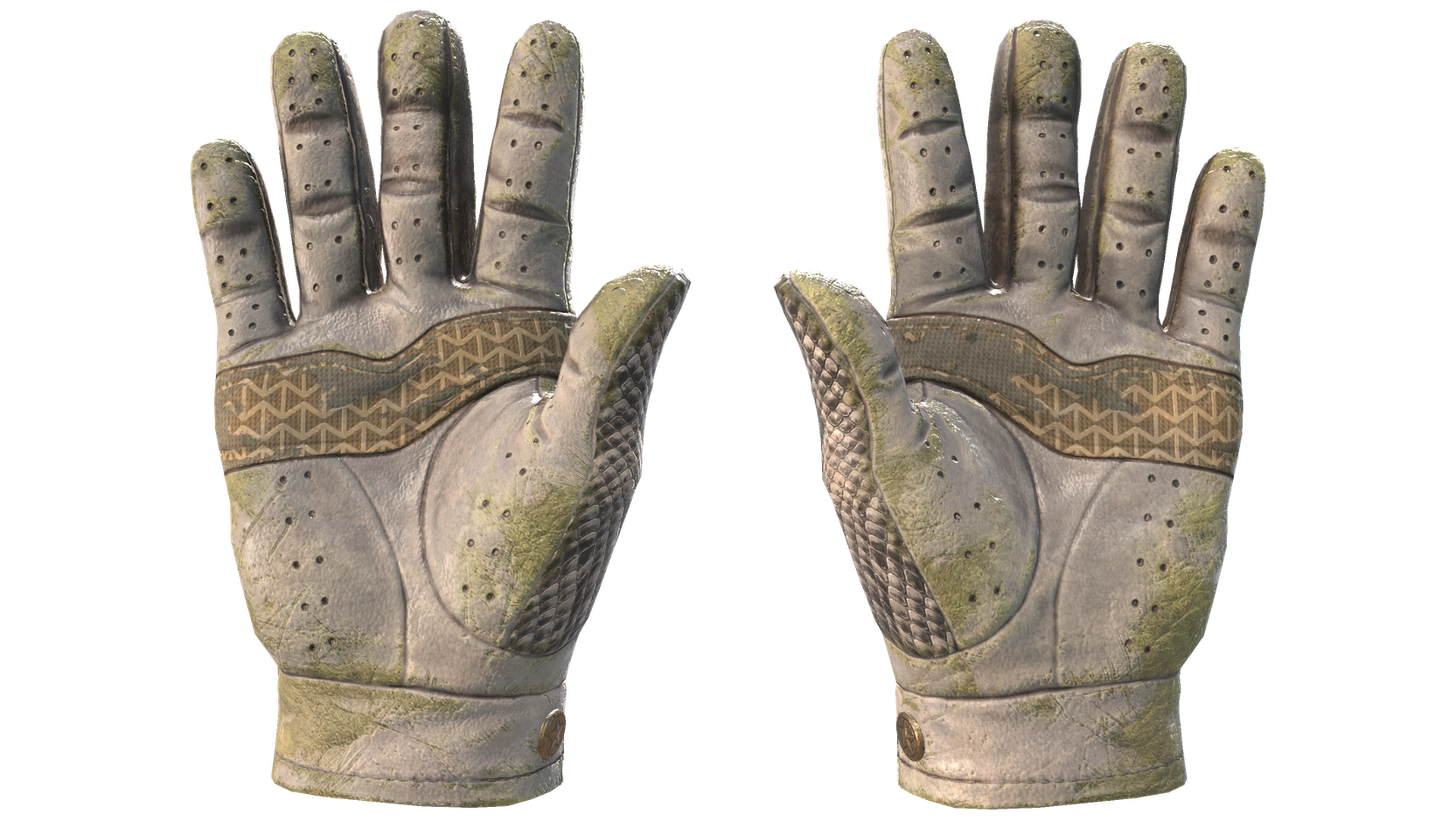 King Snake image