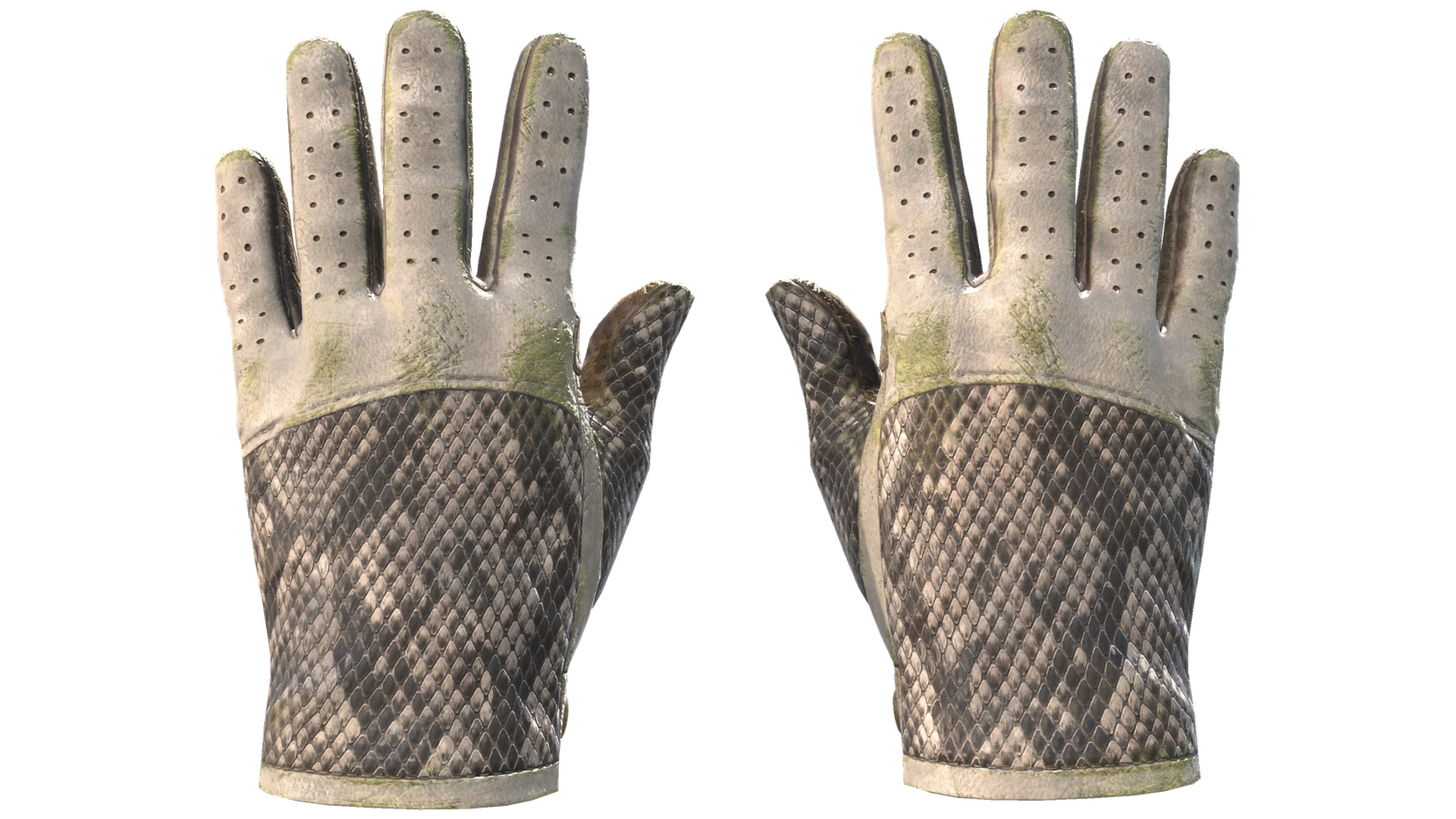 King Snake image