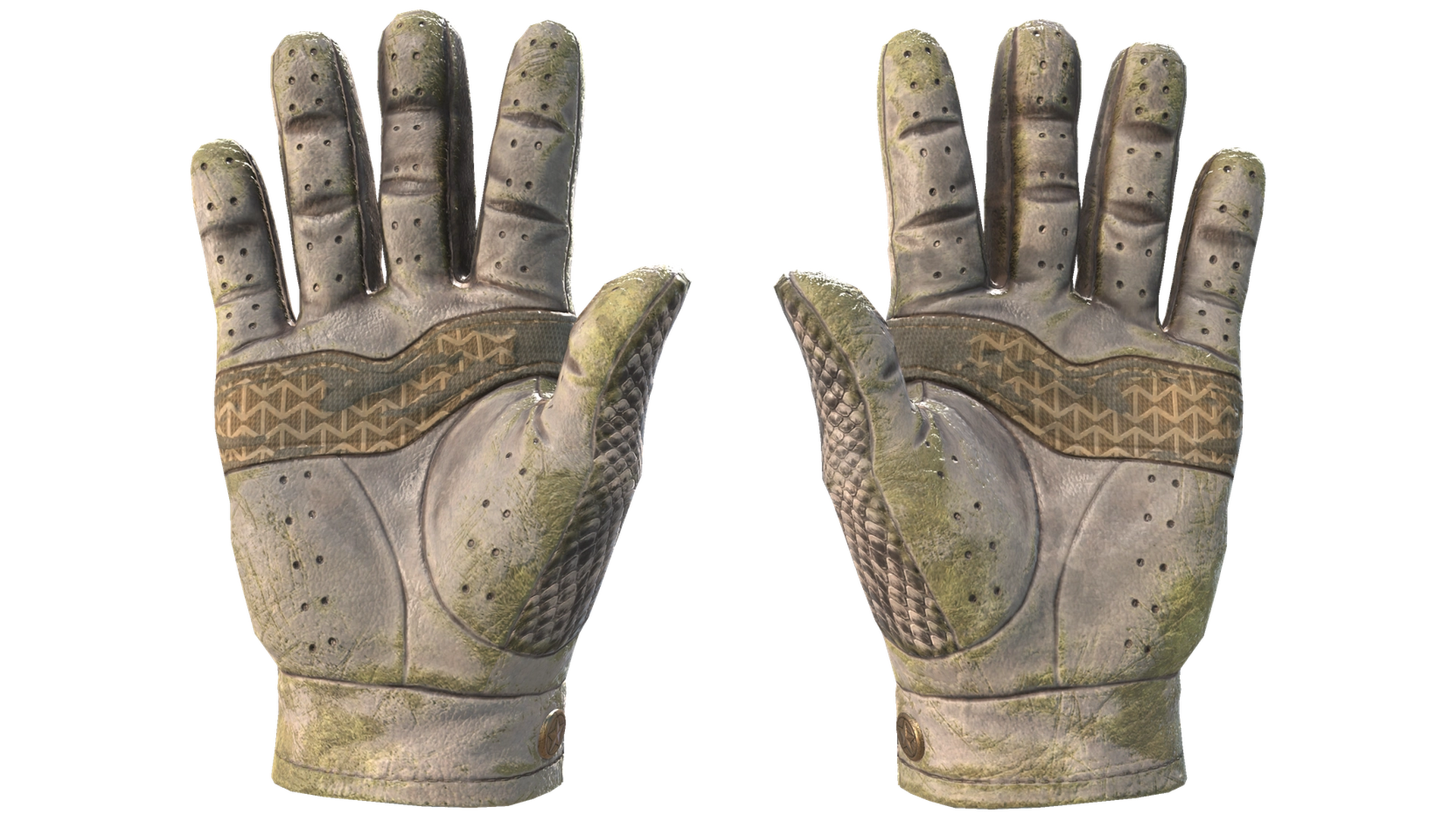 King Snake image