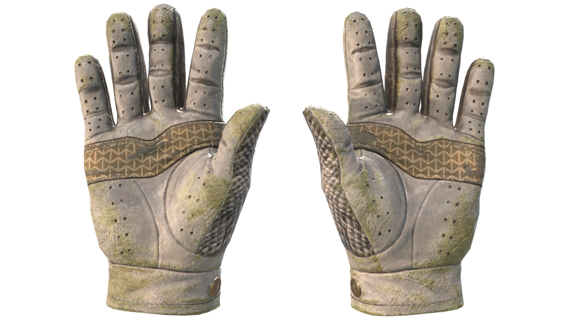 King Snake image