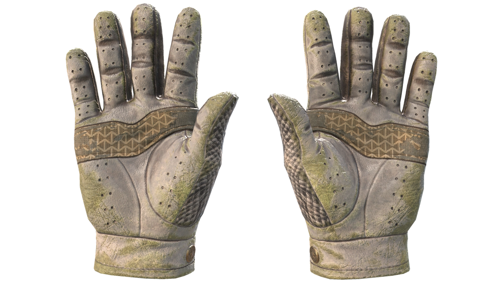King Snake image