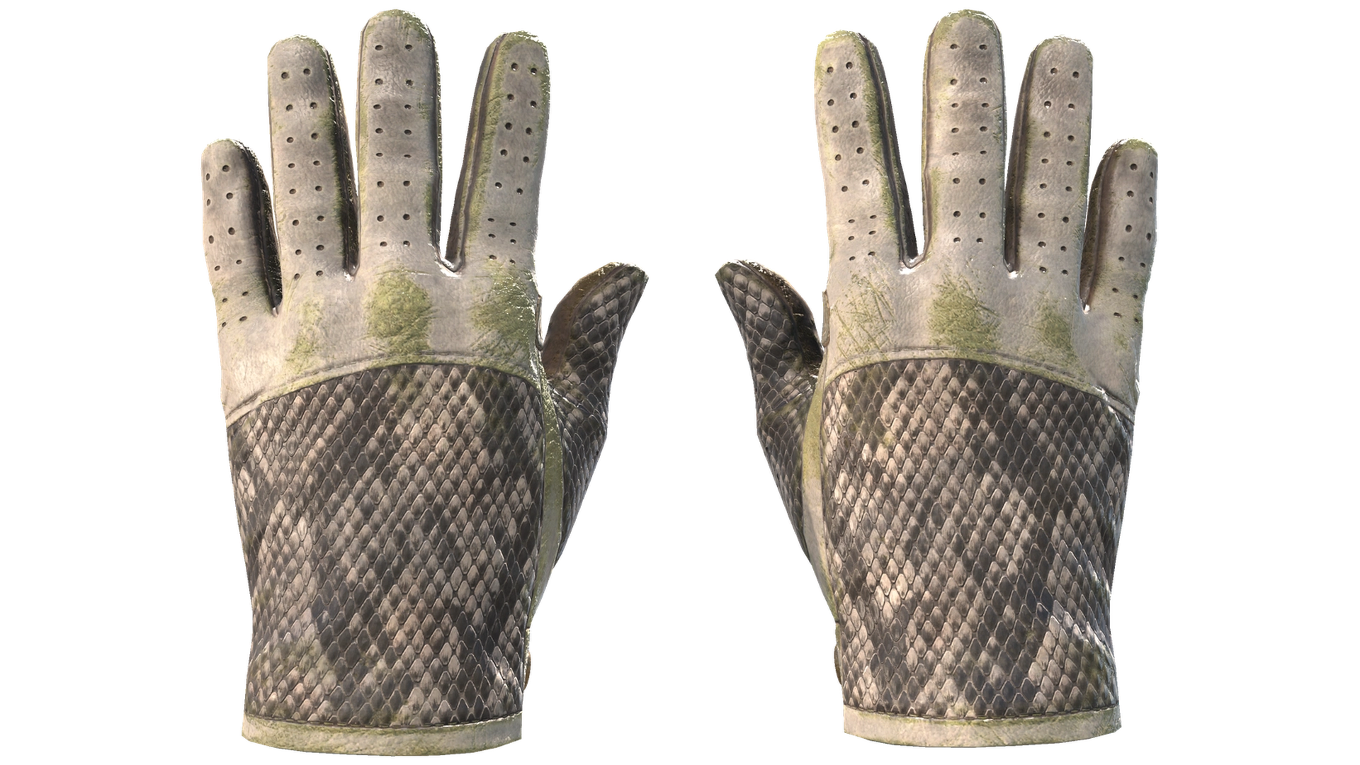 King Snake image