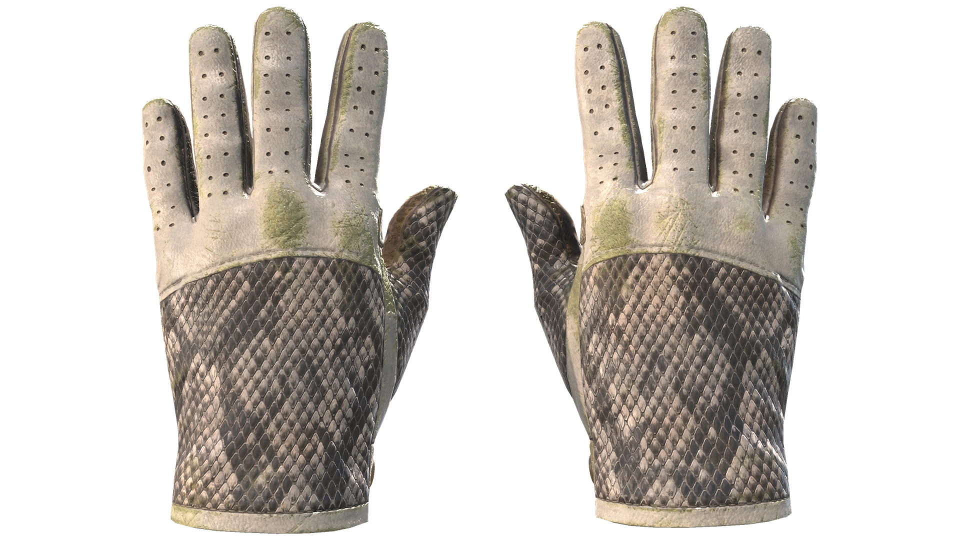 King Snake image