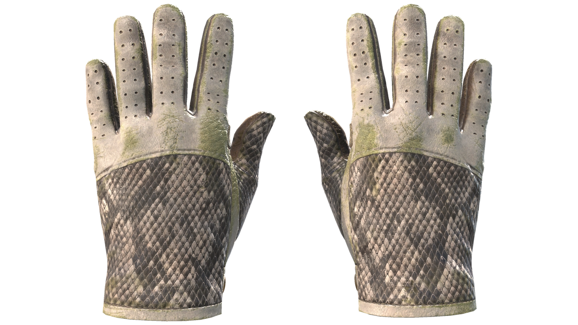 King Snake image