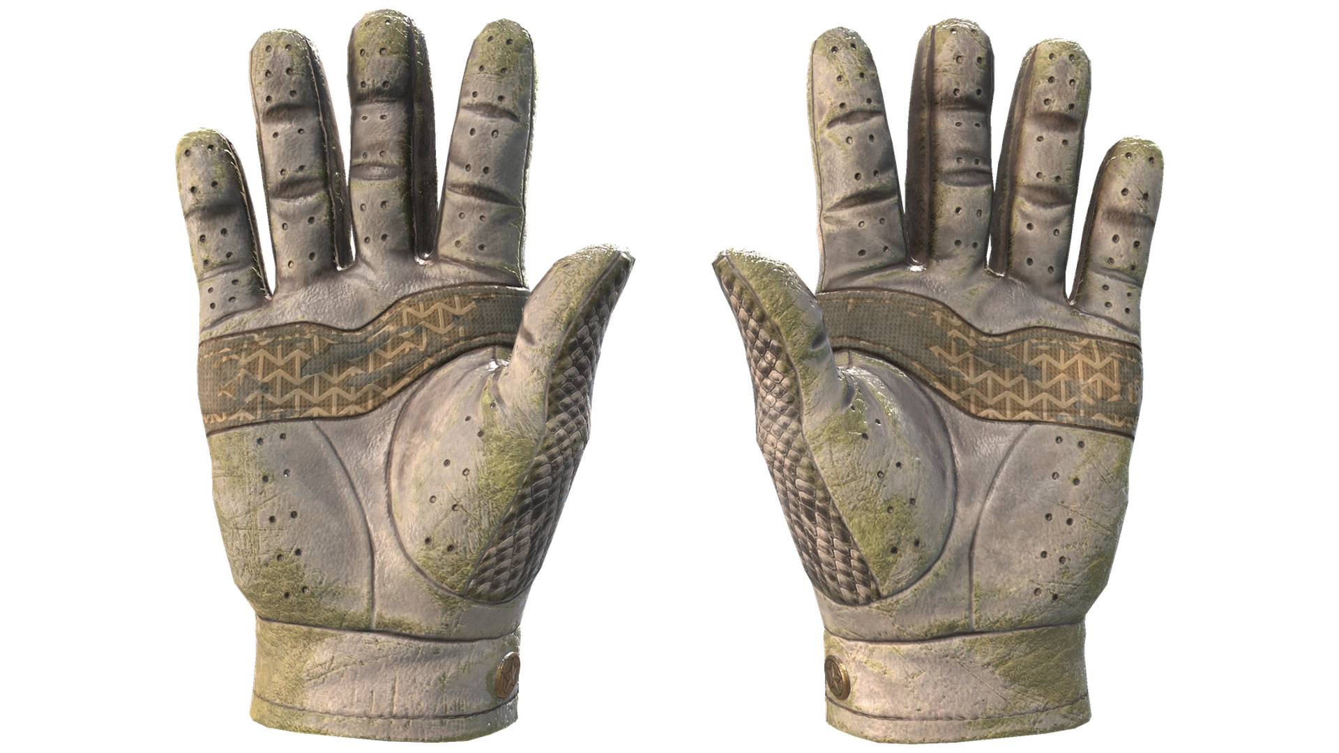 King Snake image