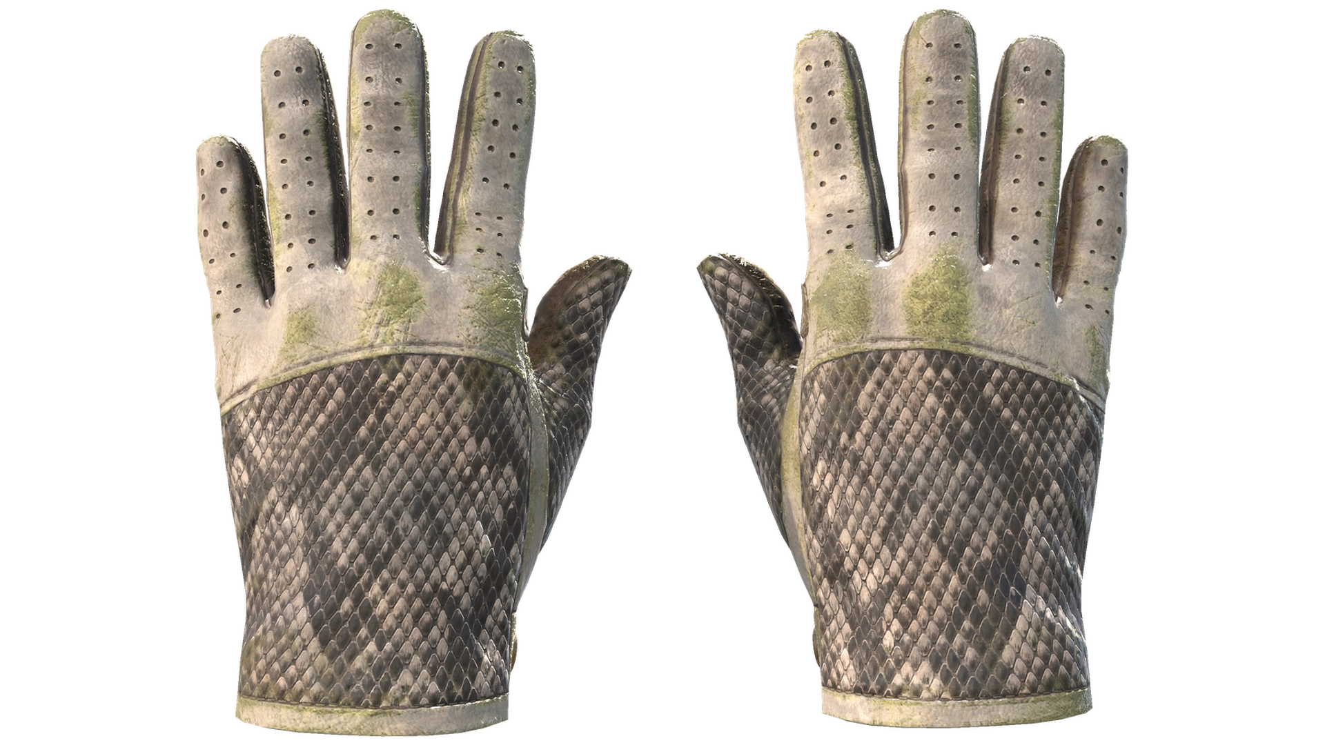 King Snake image