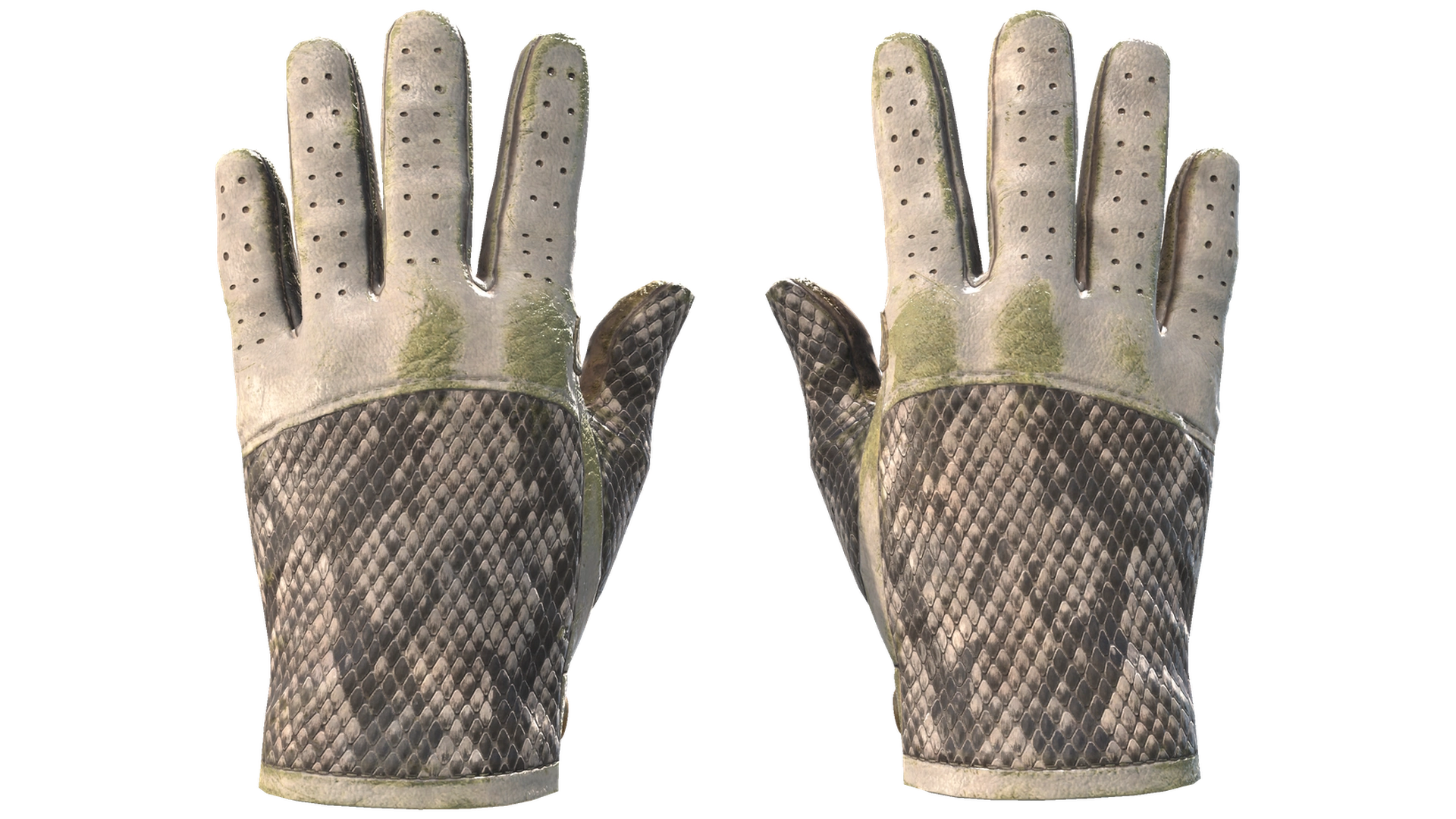 King Snake image
