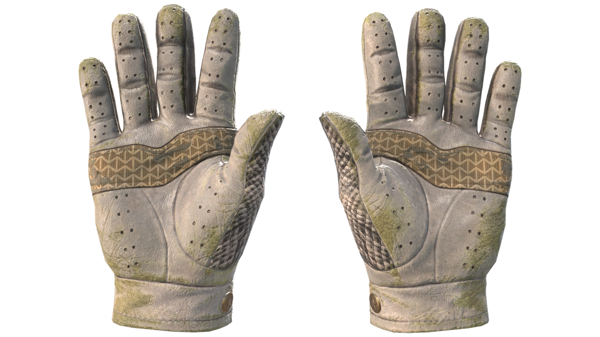 King Snake image