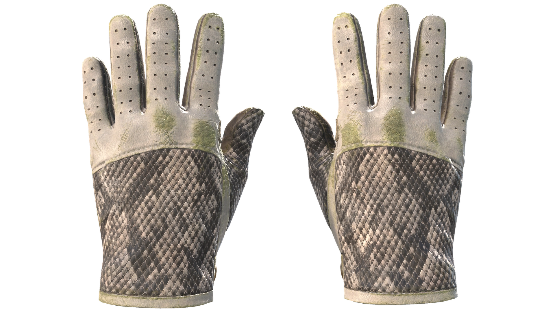 King Snake image