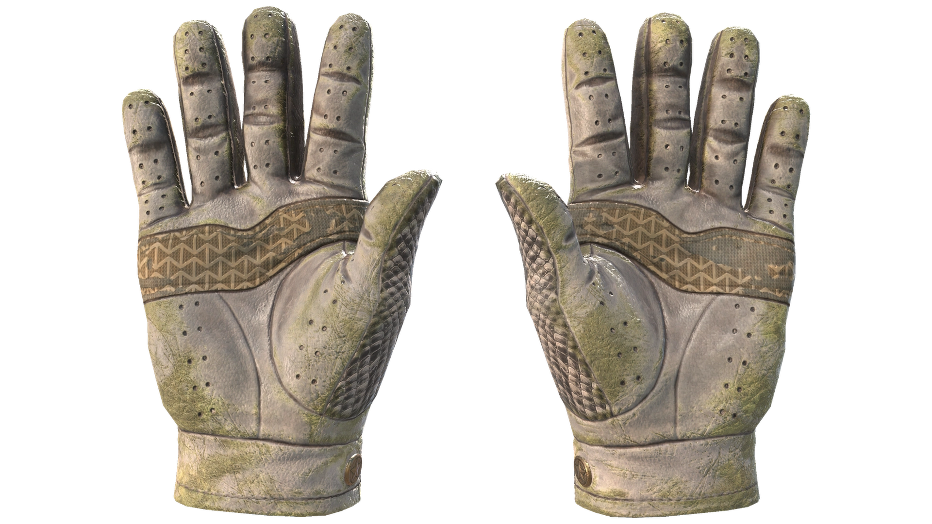 King Snake image