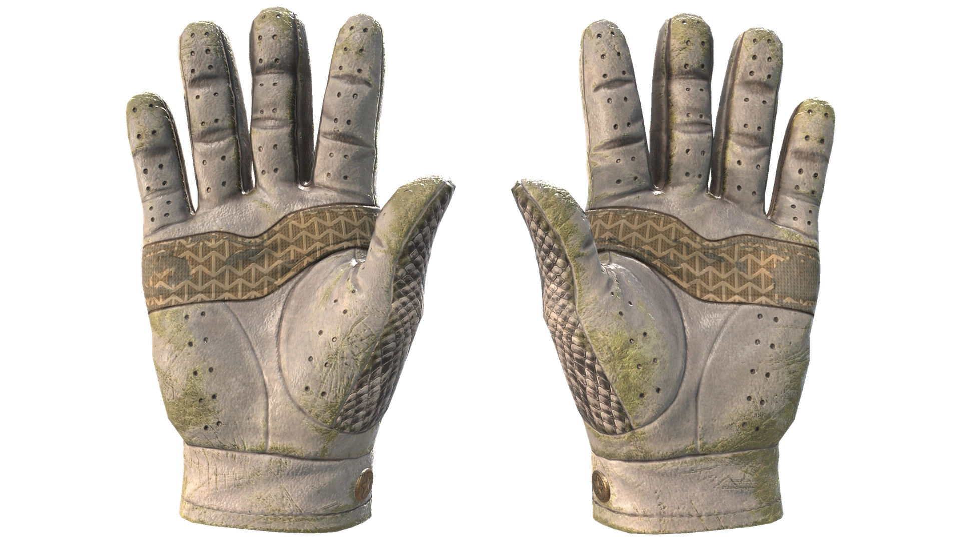 King Snake image