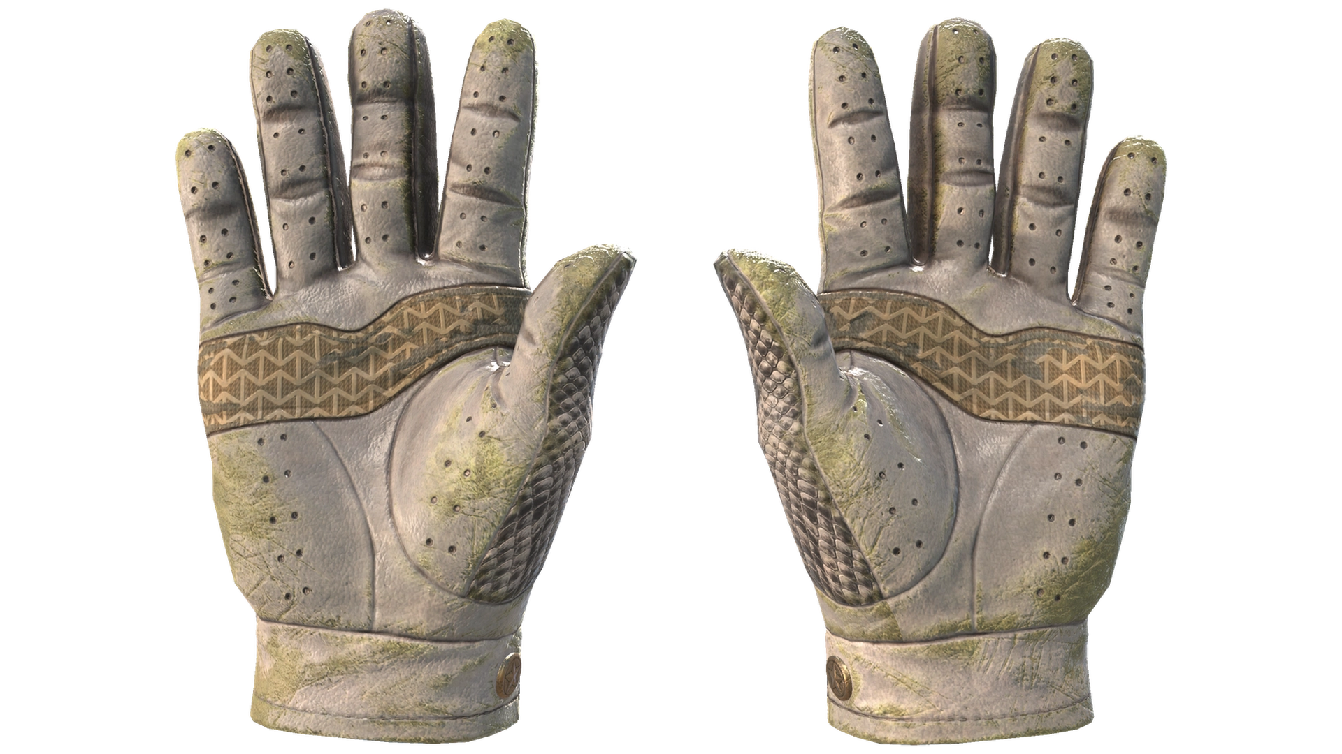 King Snake image