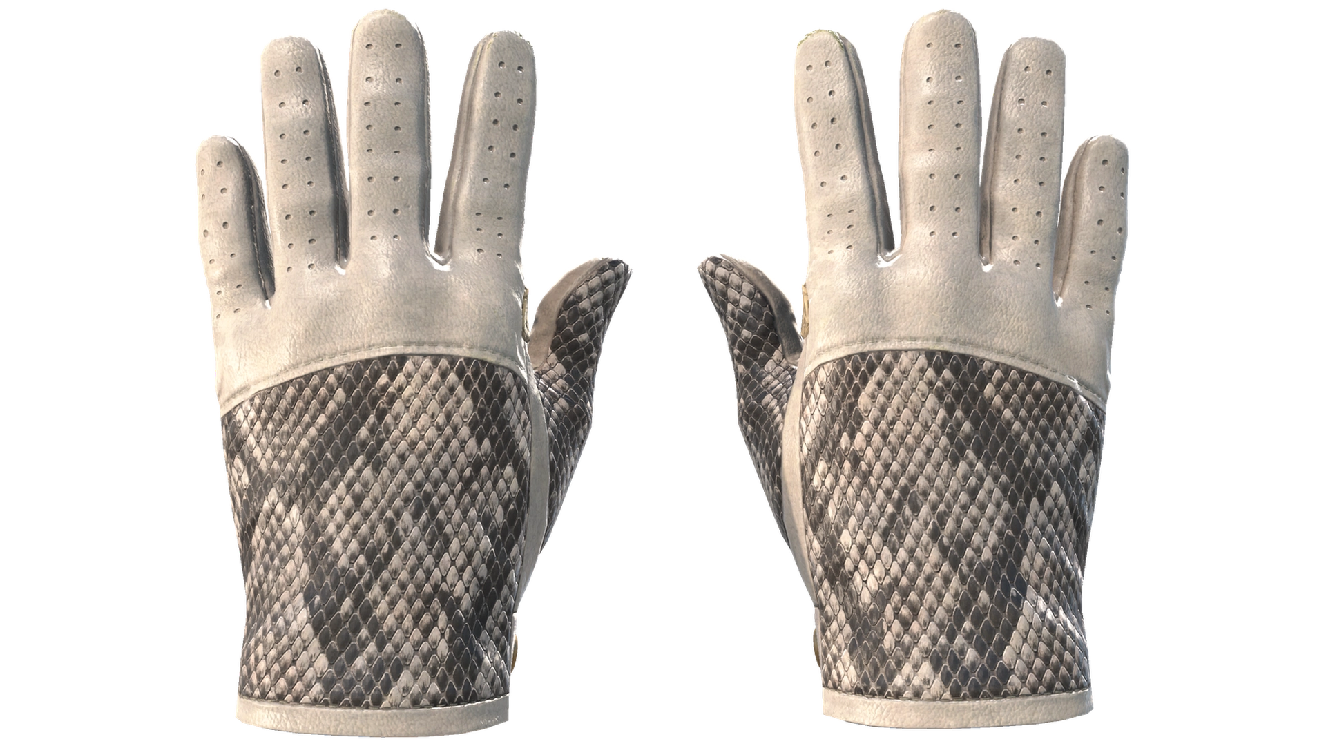 King Snake image