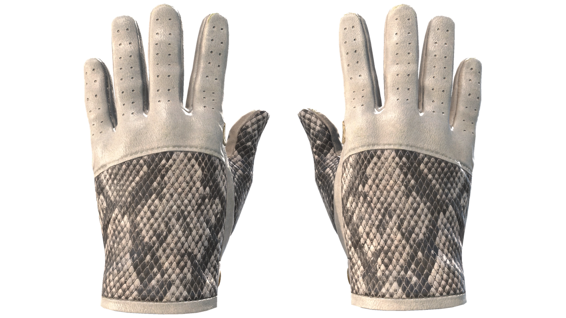King Snake image