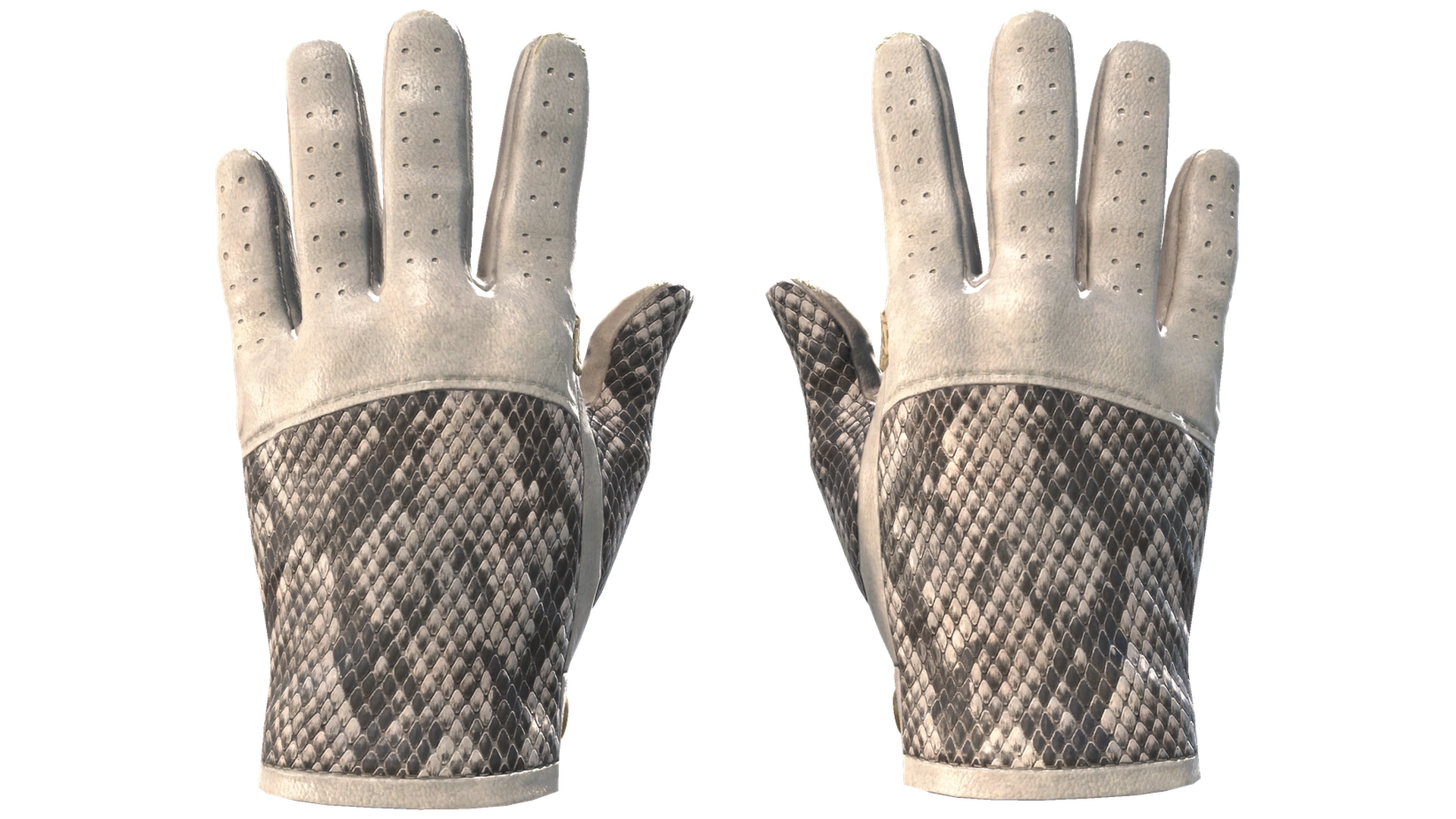 King Snake image