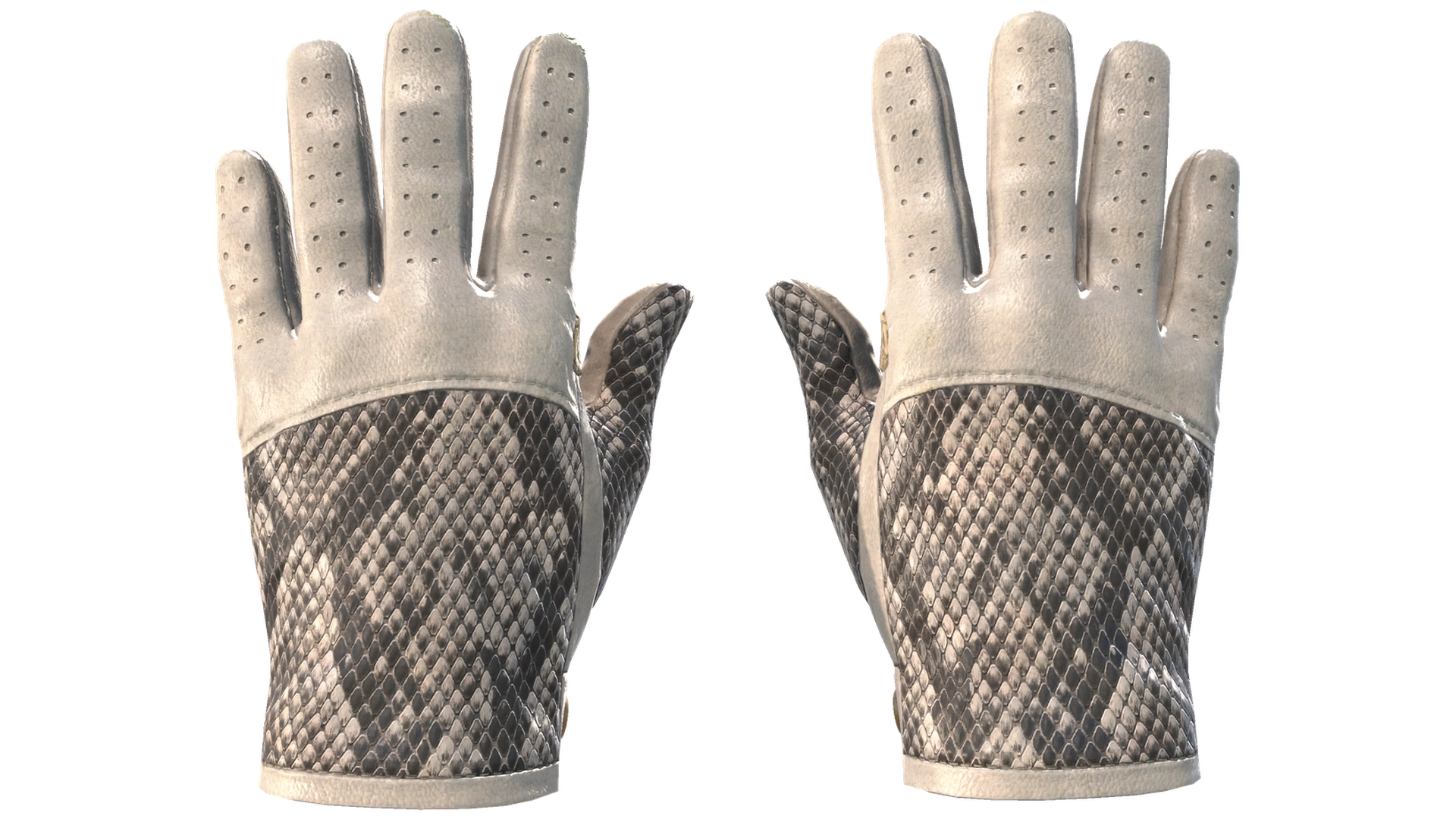 King Snake image