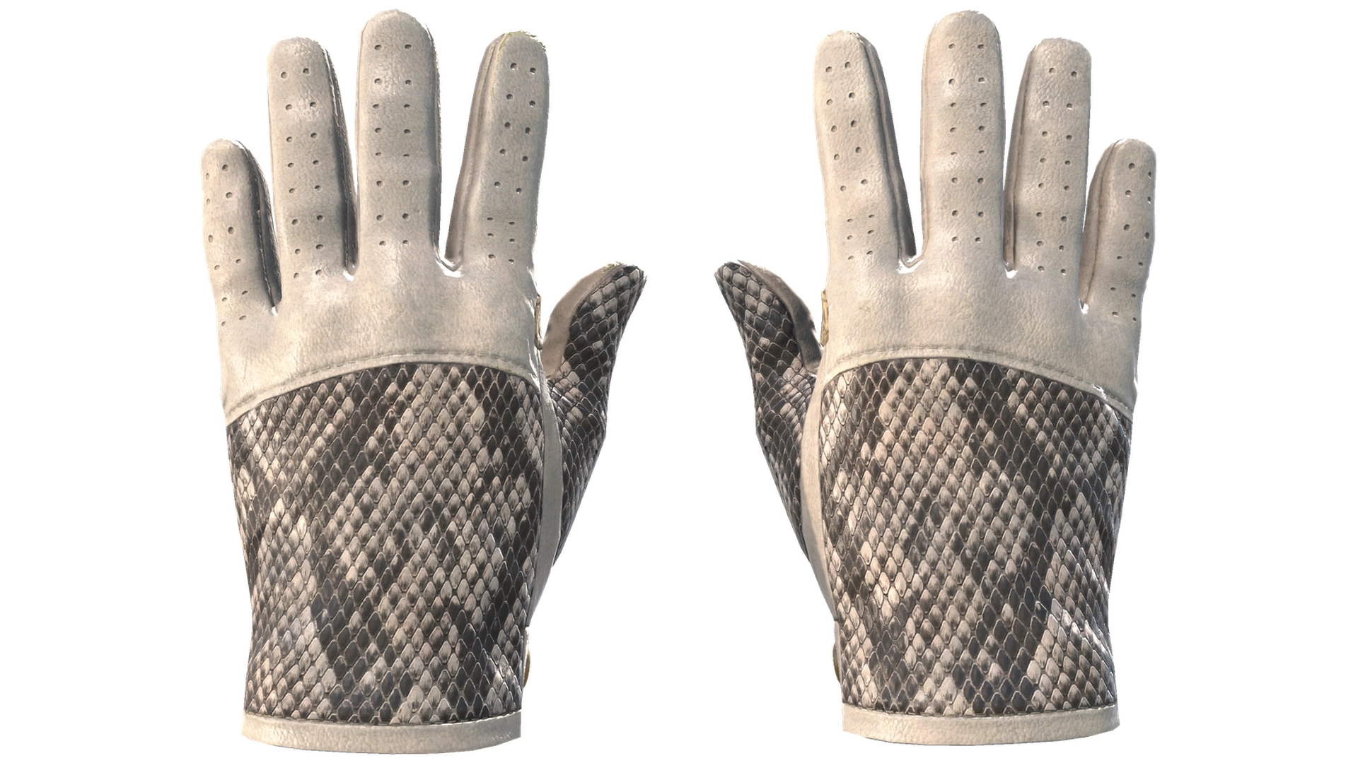 King Snake image
