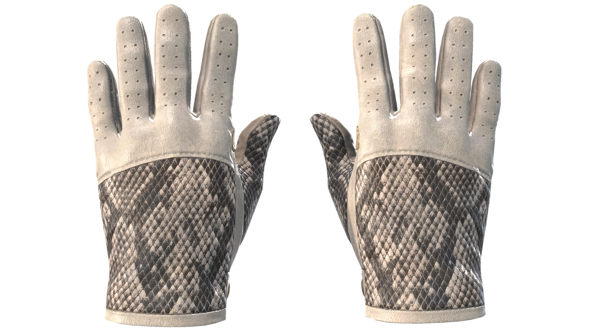 King Snake image