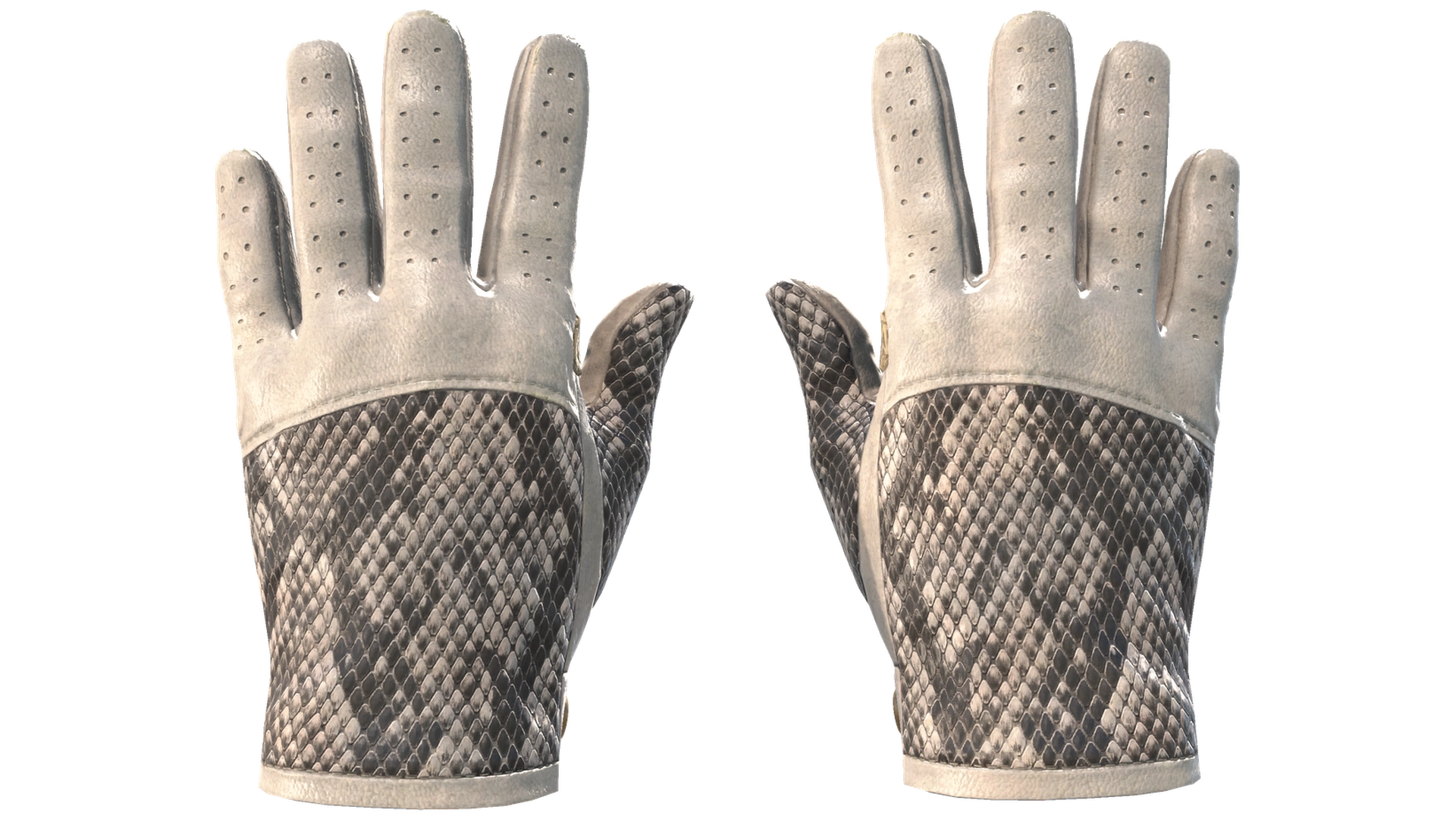 King Snake image