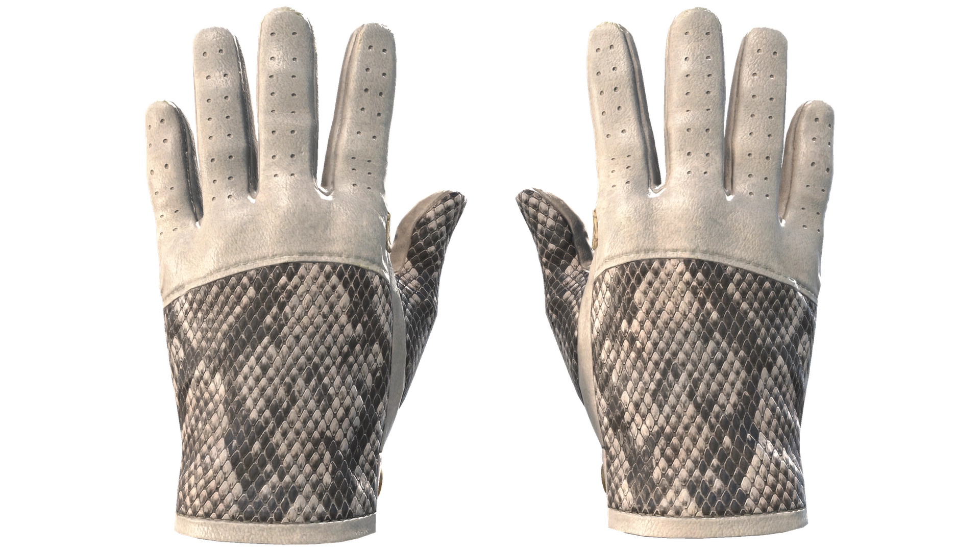 King Snake image