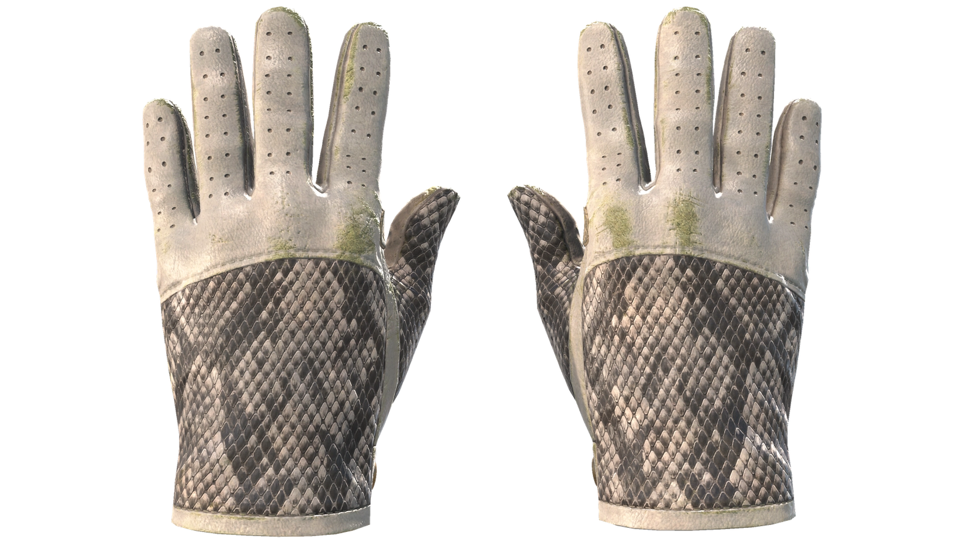 King Snake image