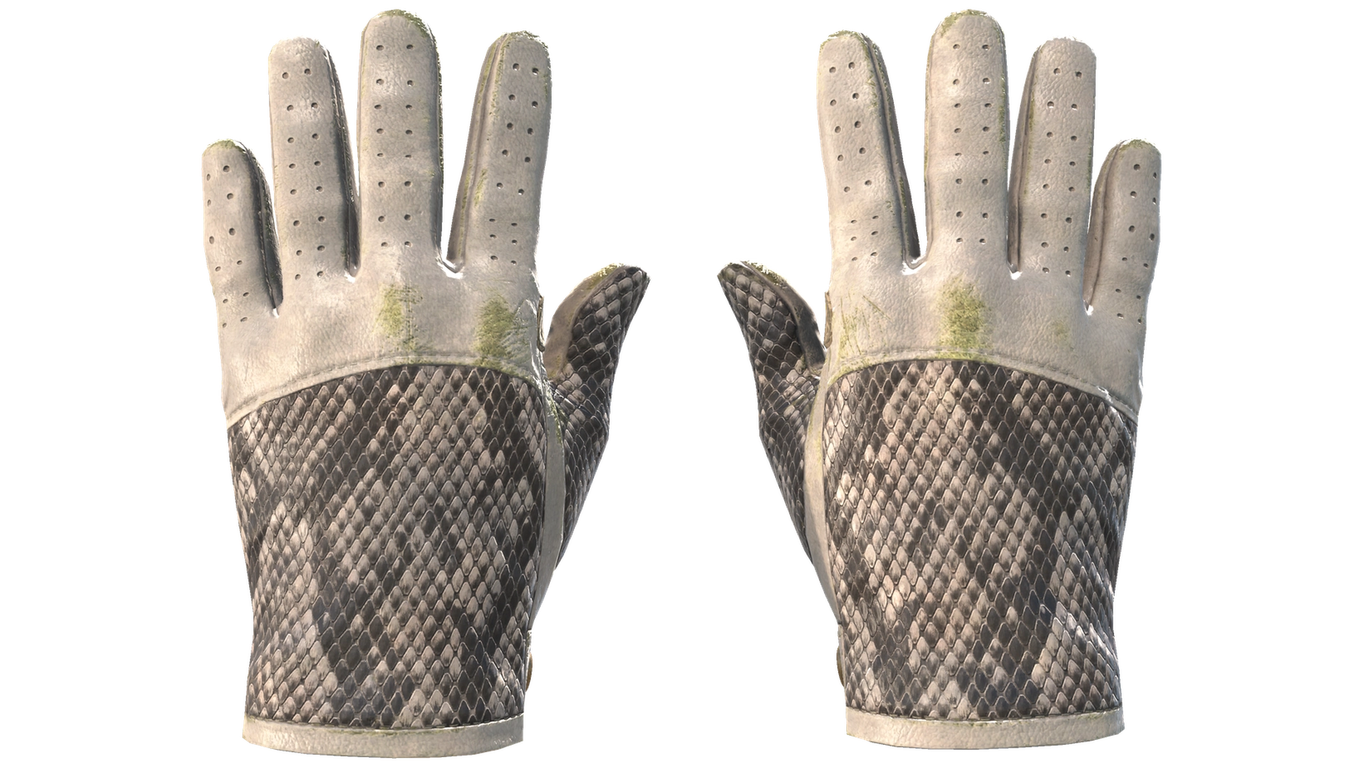 King Snake image