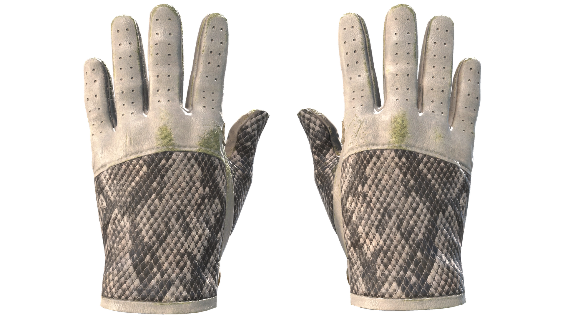 King Snake image