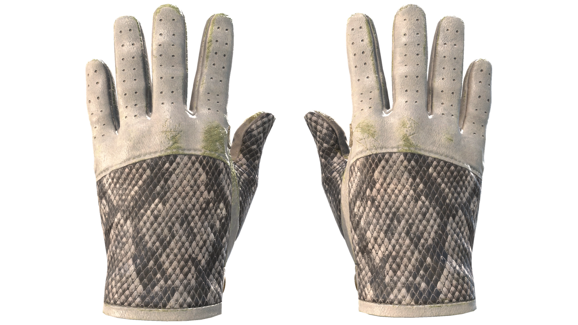 King Snake image