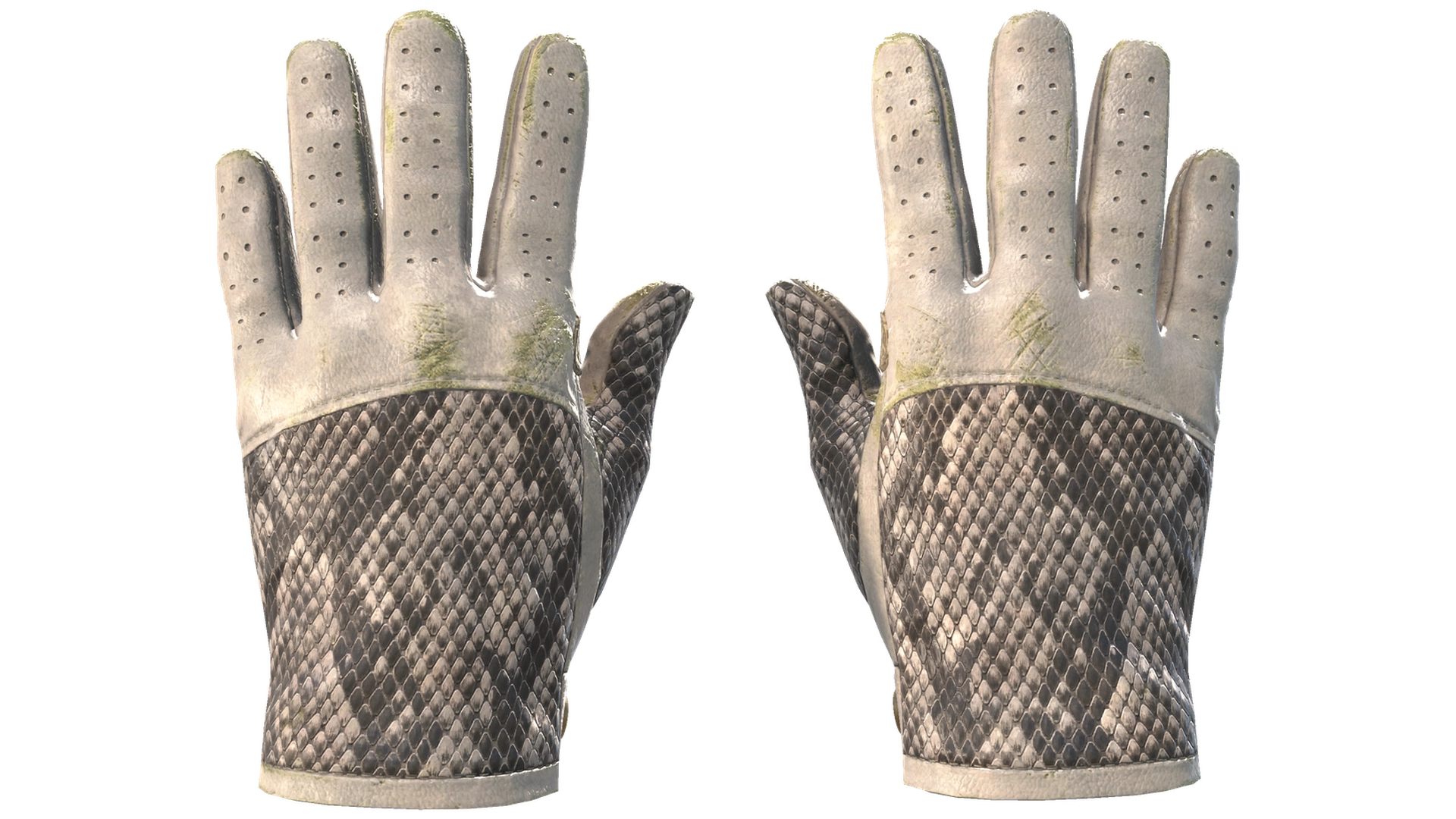 King Snake image