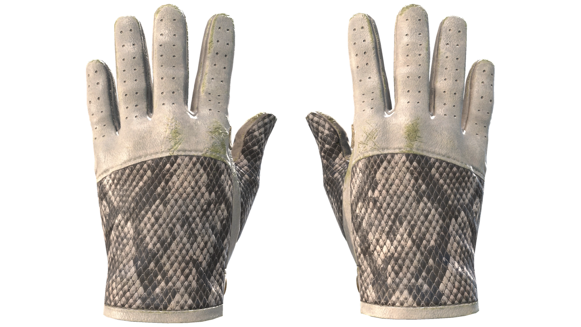 King Snake image