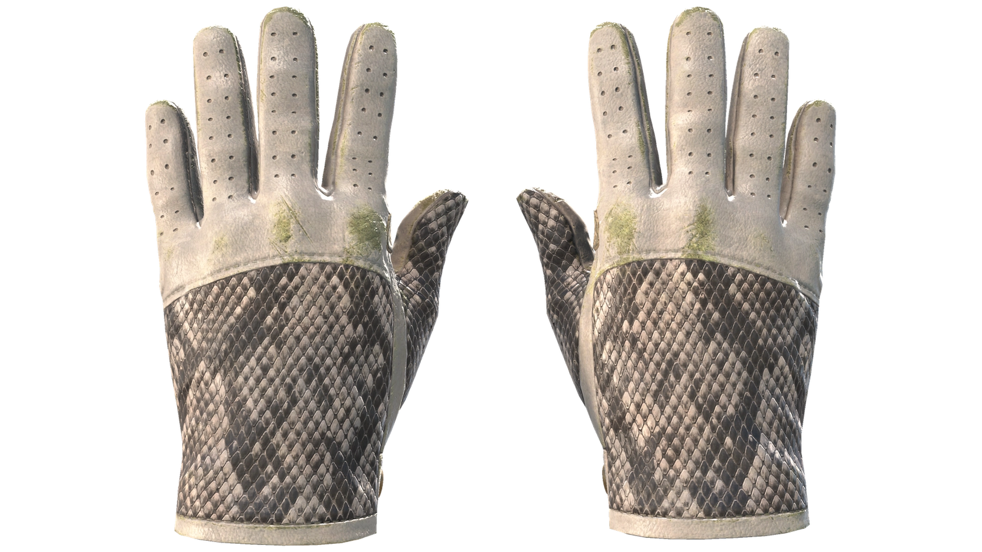 King Snake image