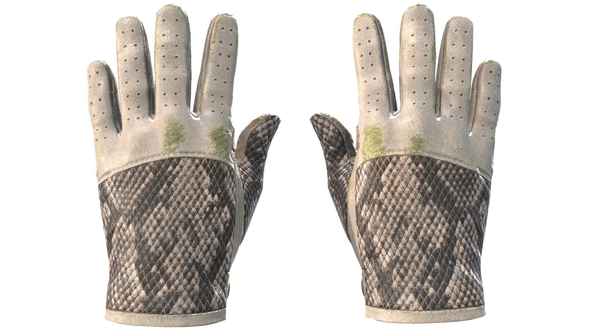 King Snake image