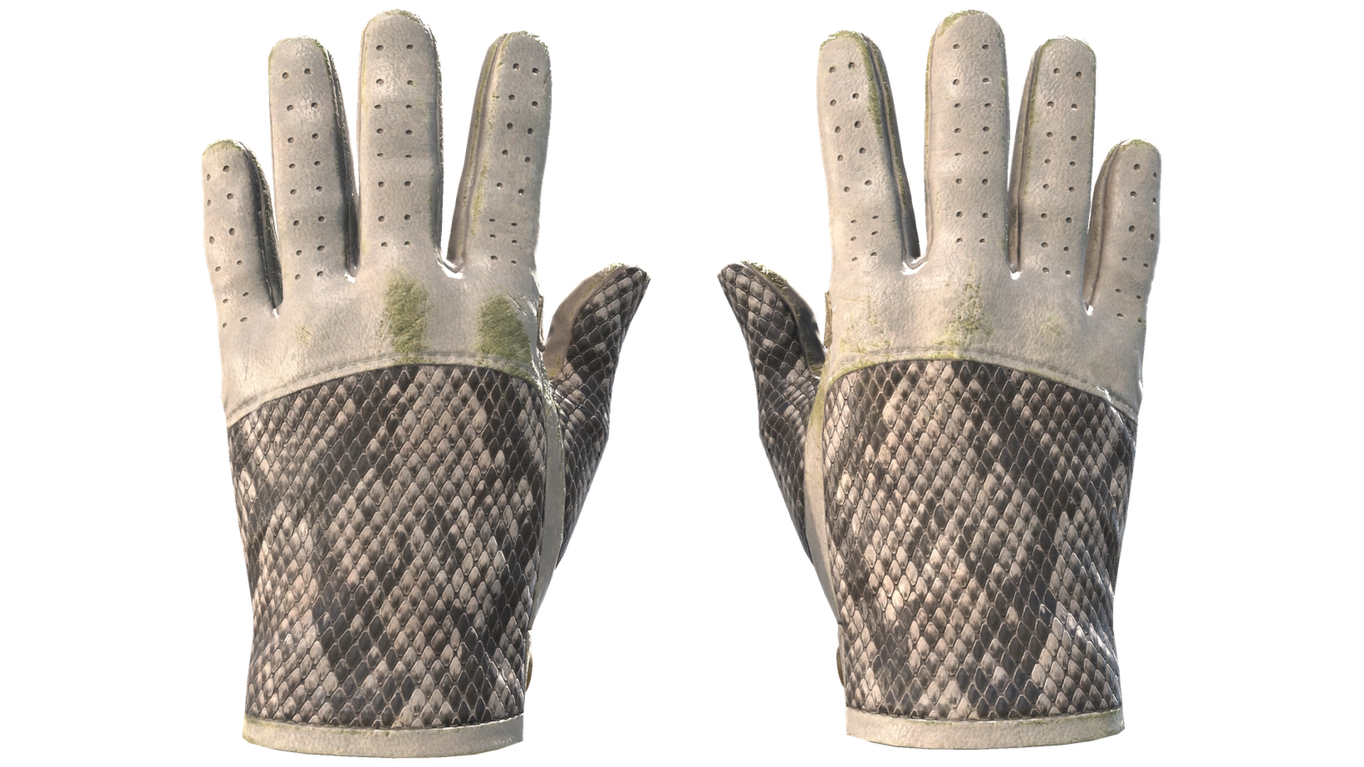 King Snake image