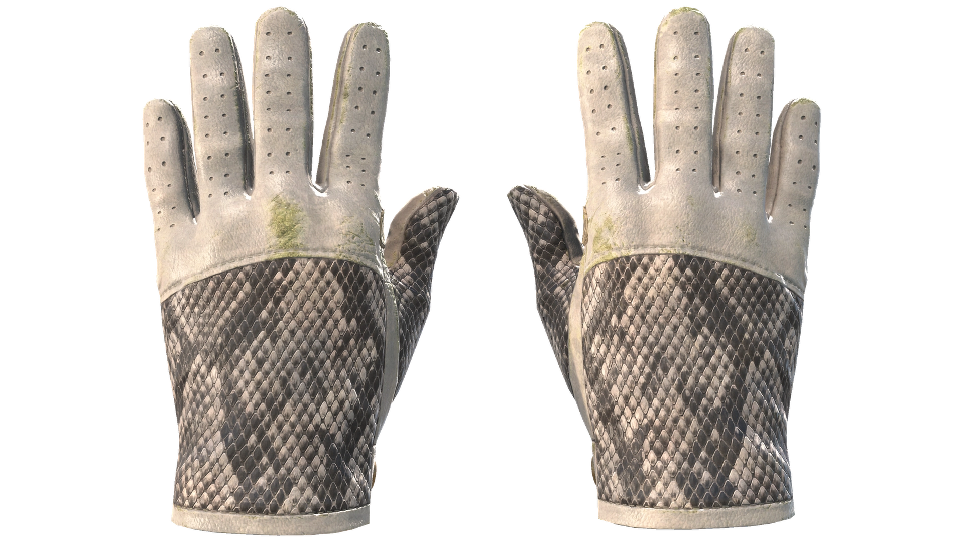 King Snake image