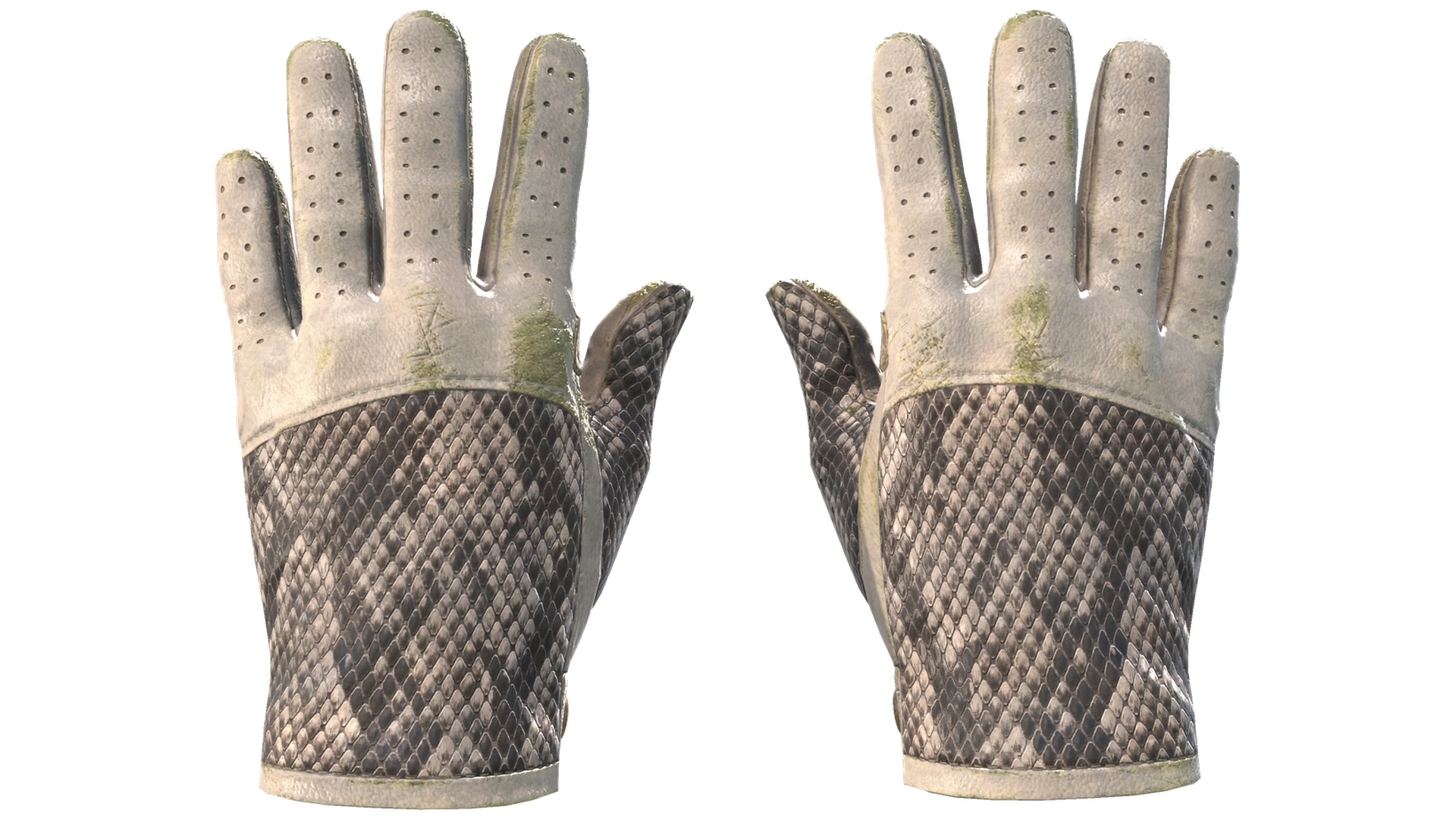 King Snake image