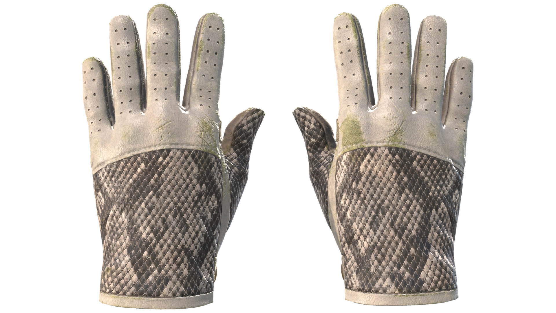 King Snake image
