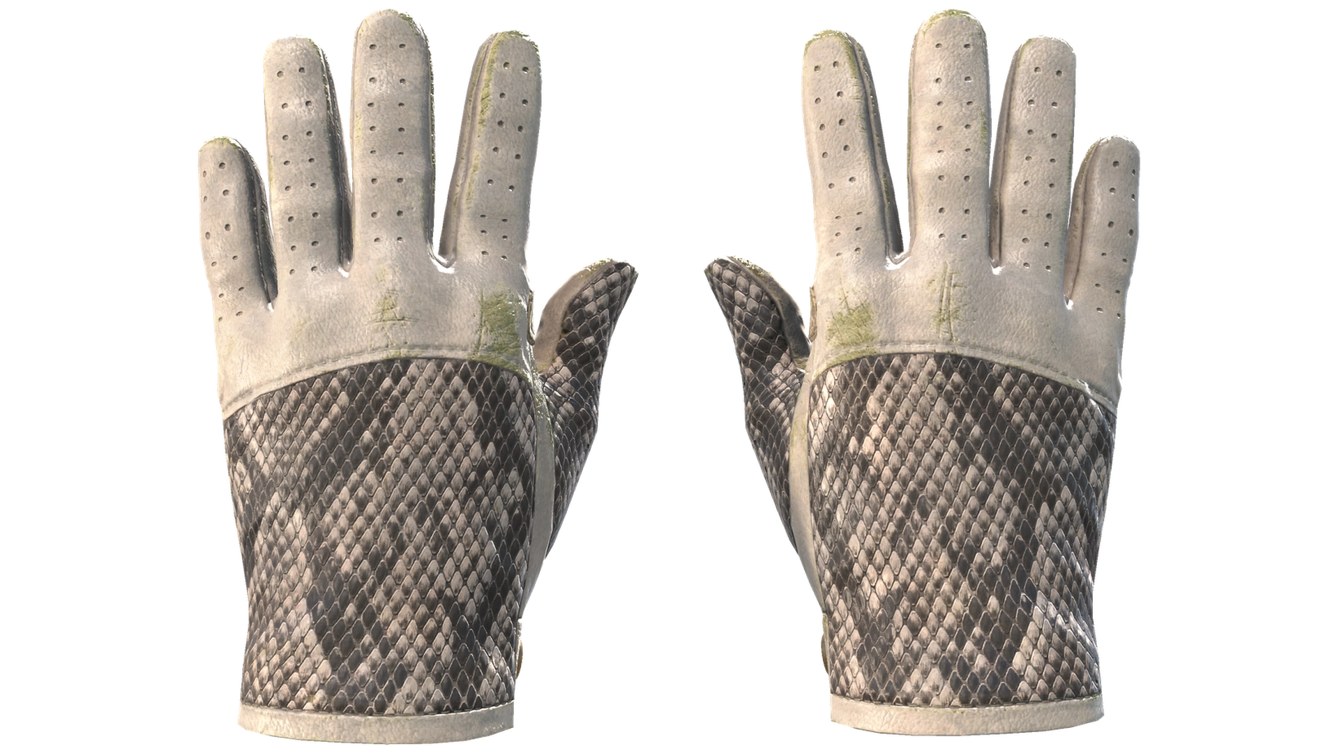 King Snake image