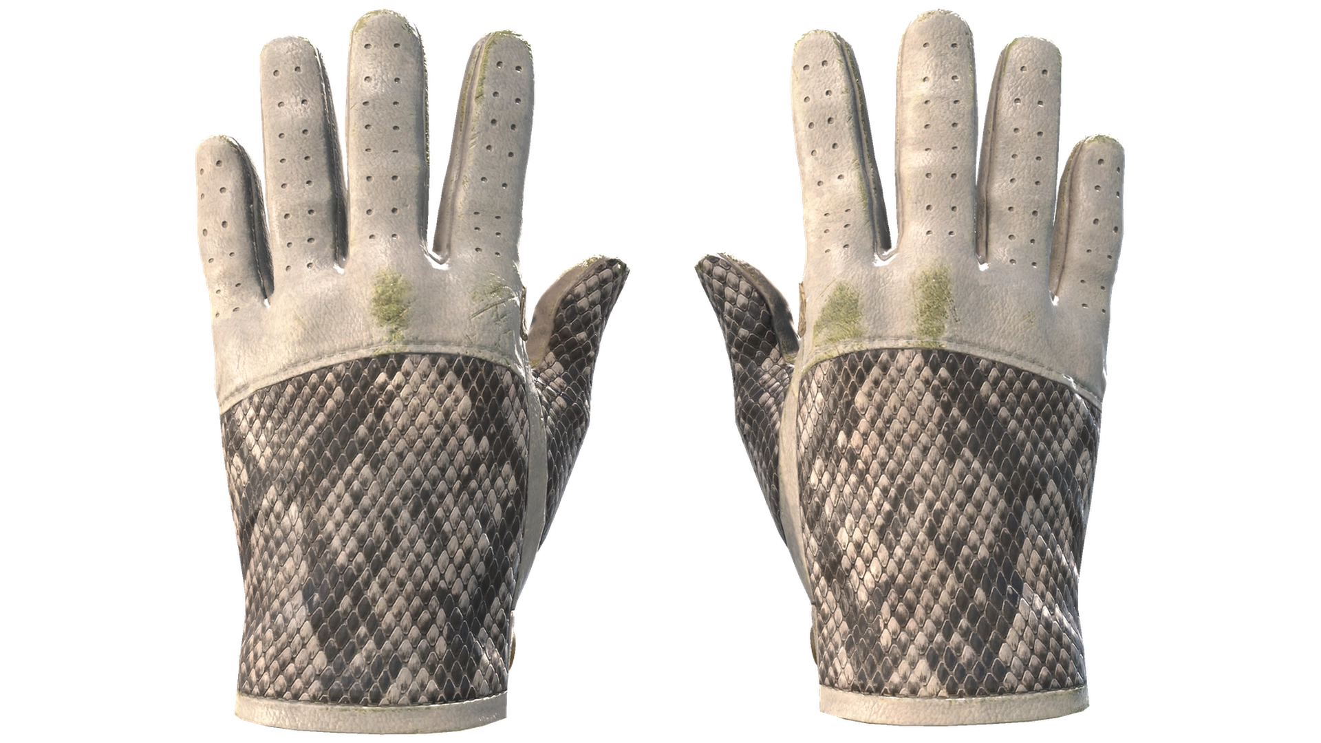 King Snake image