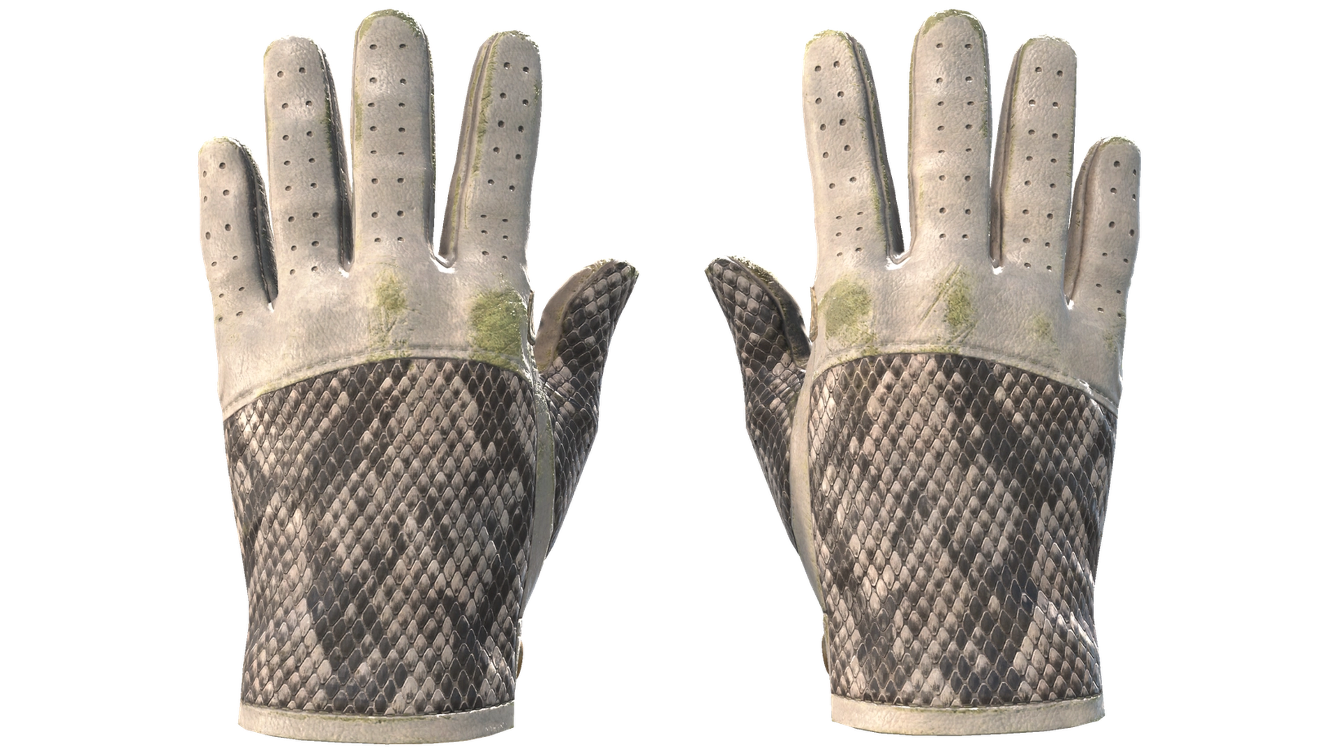 King Snake image