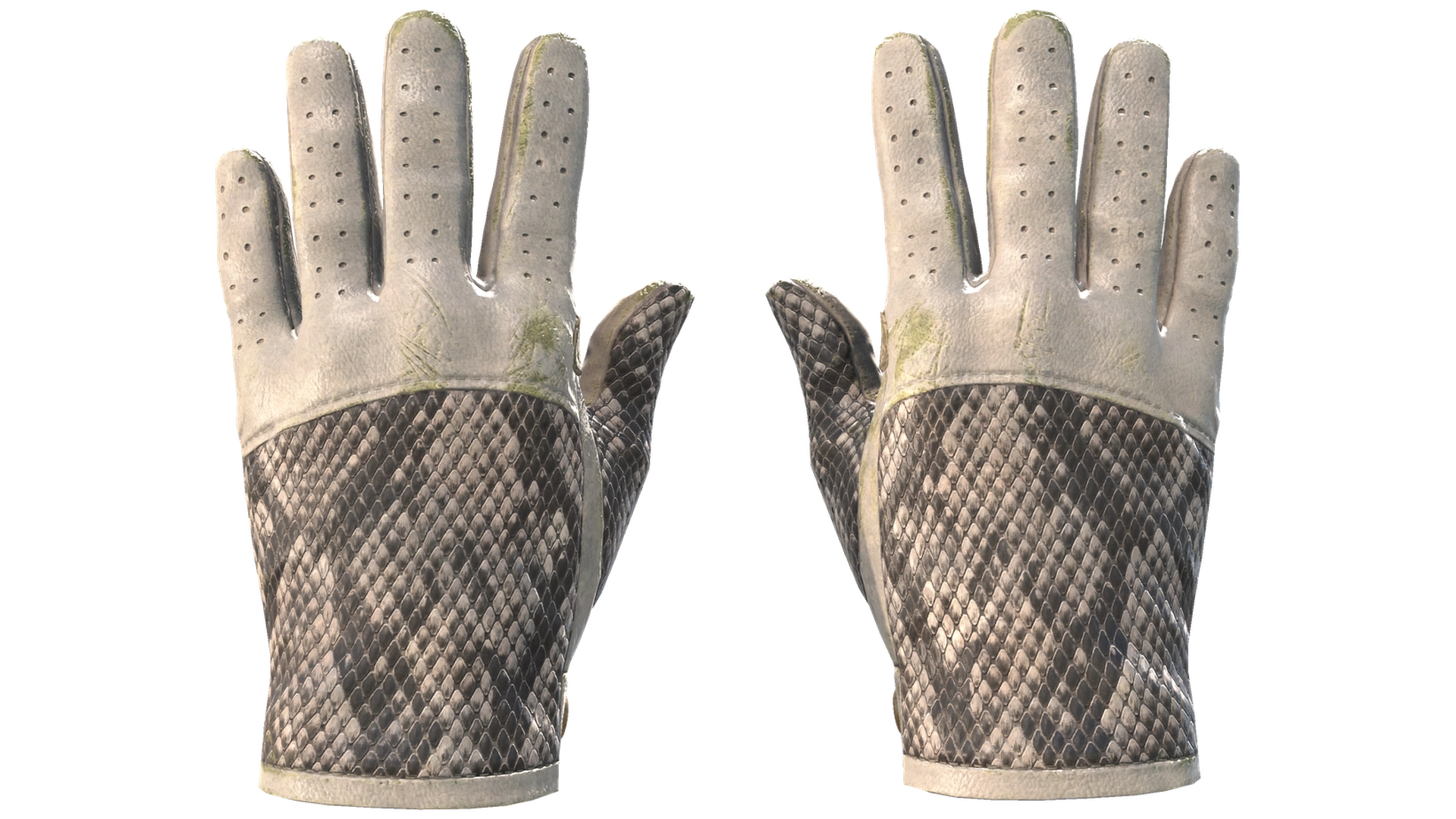 King Snake image