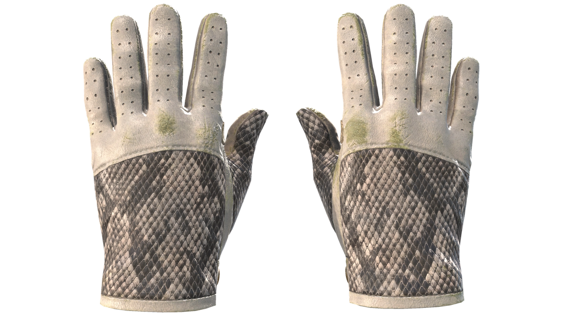 King Snake image