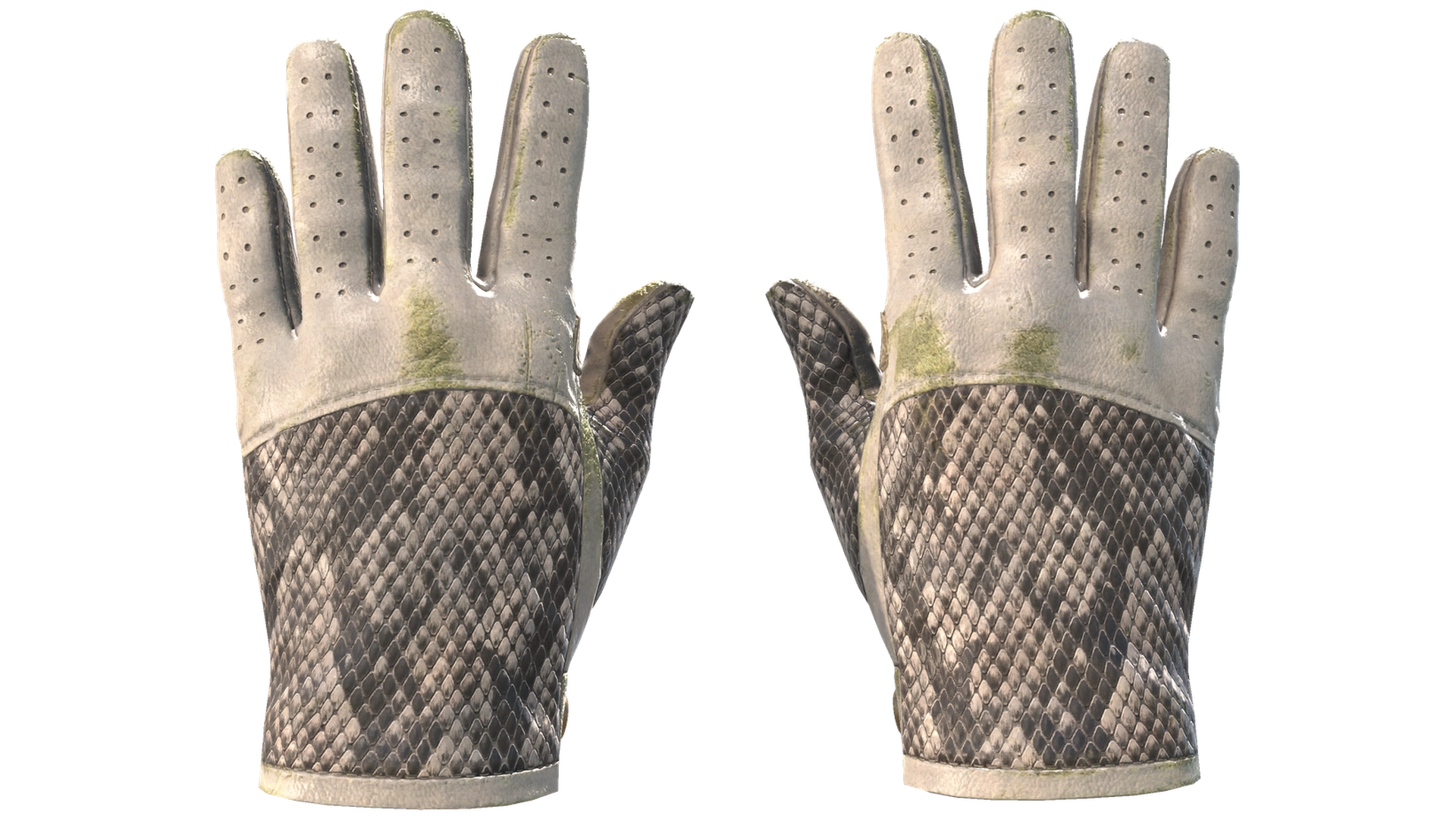 King Snake image