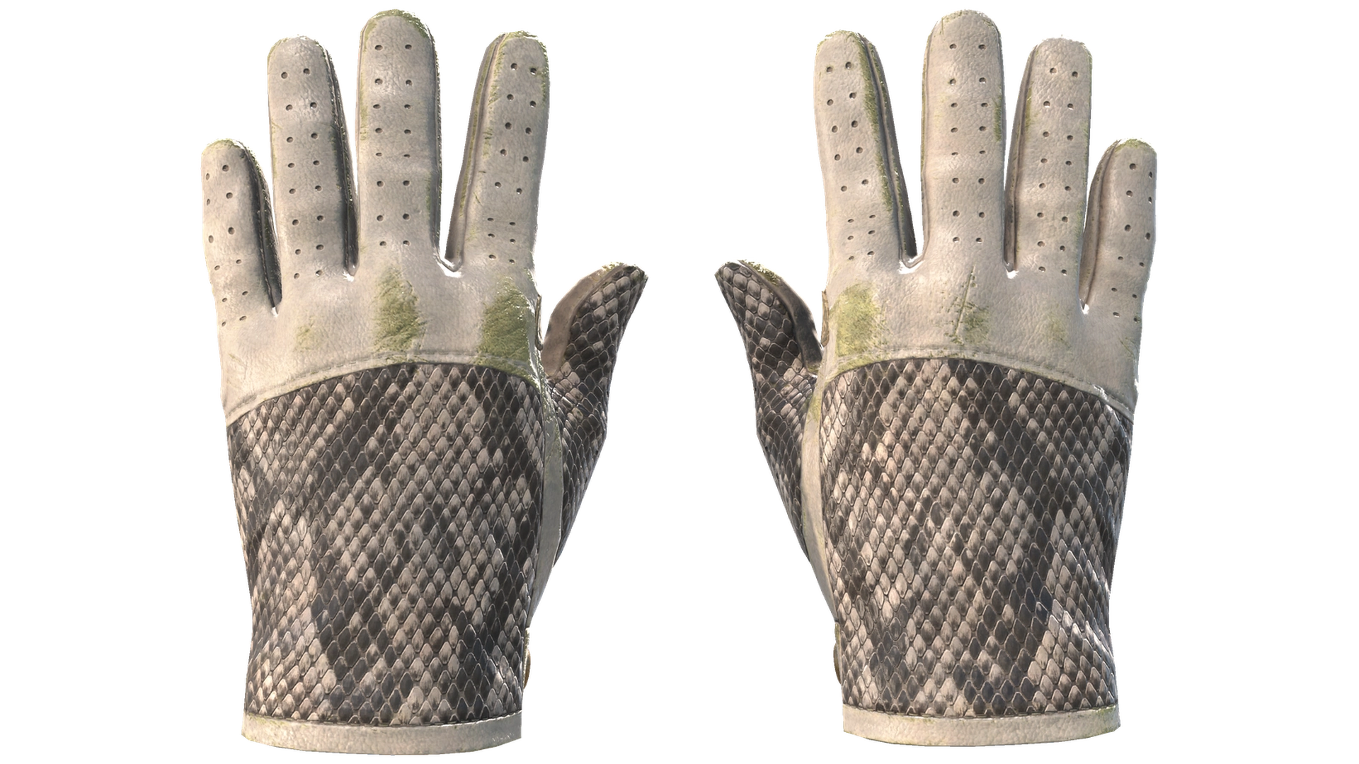 King Snake image