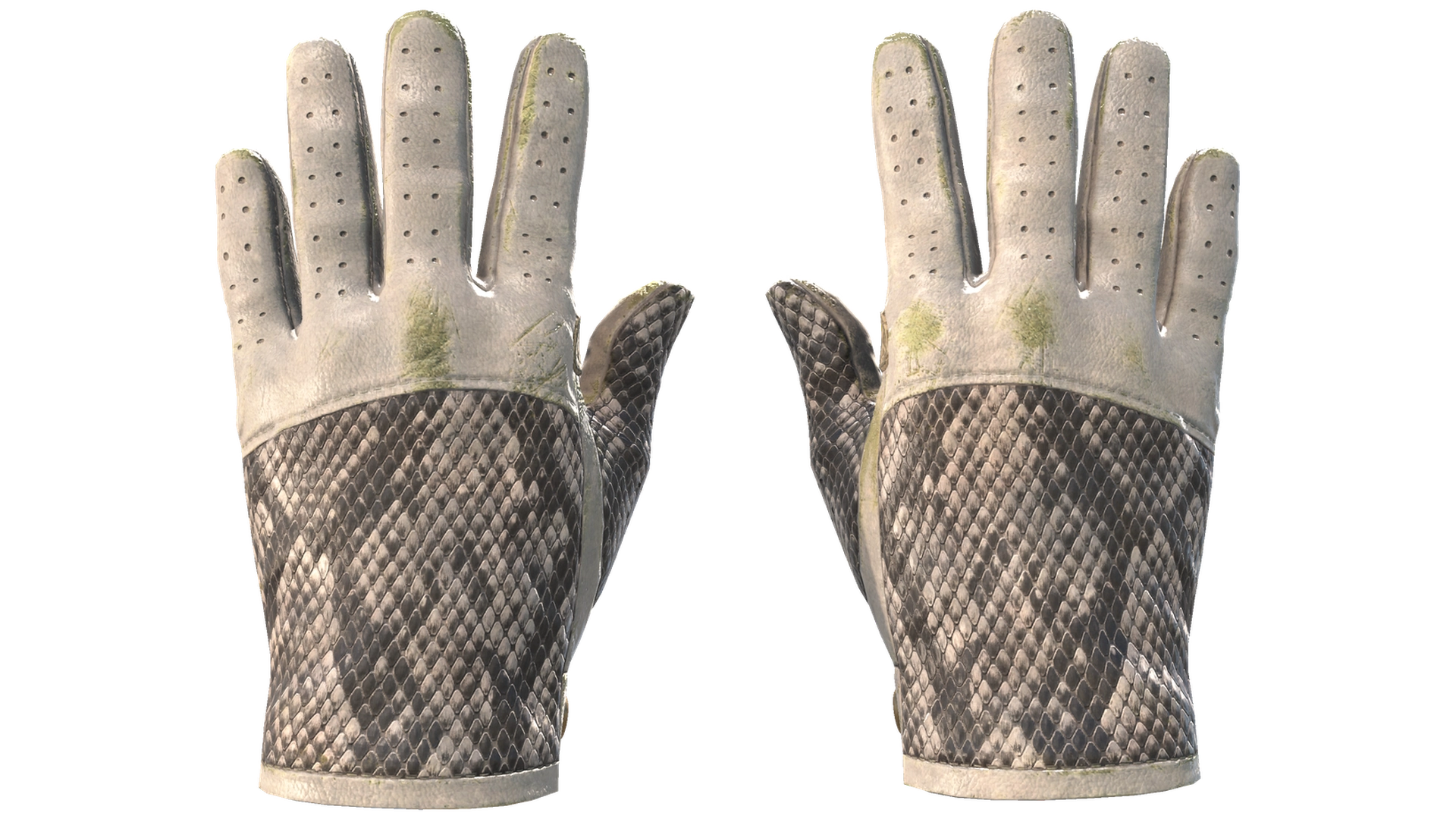 King Snake image