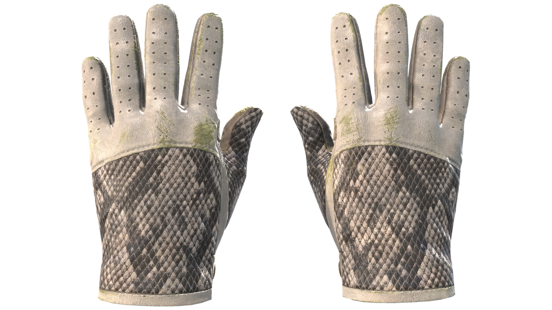 King Snake image